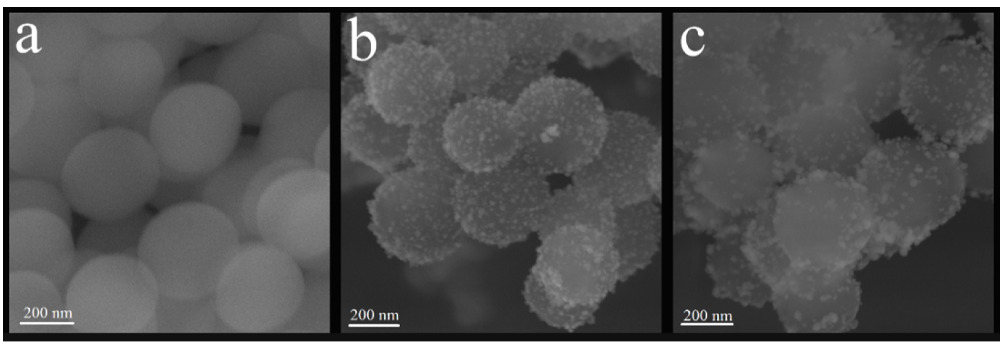 Polymers 14 04306 g002
