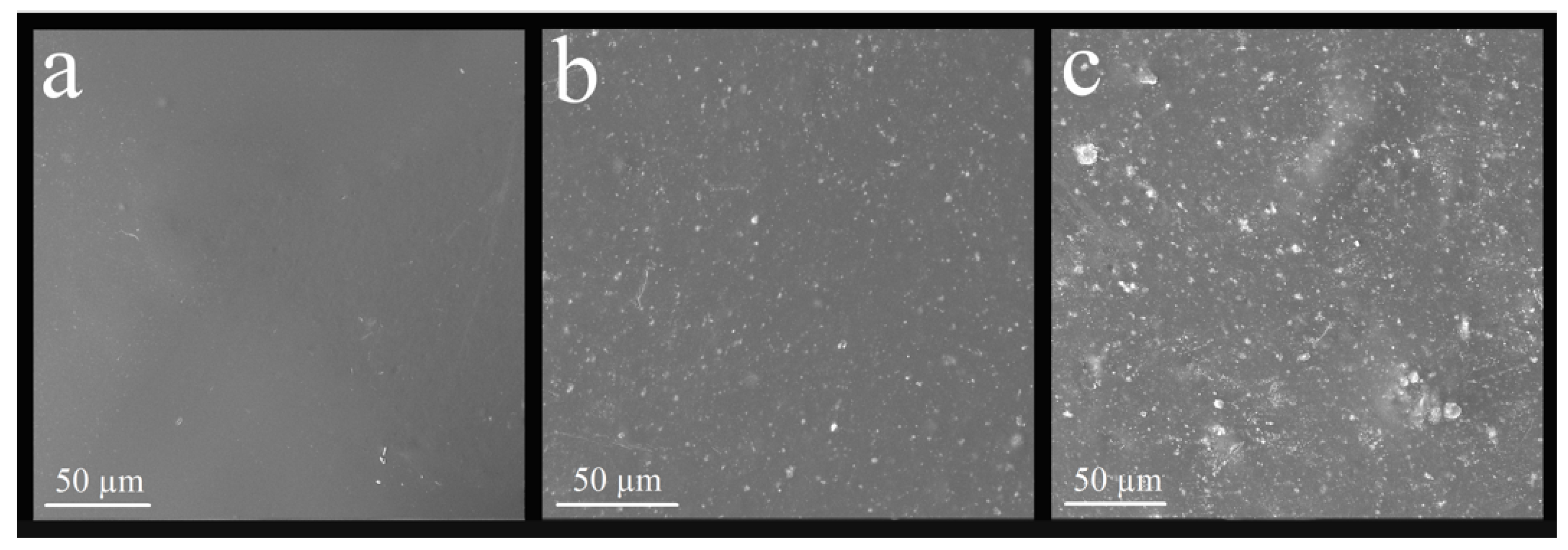 Polymers 14 04306 g006