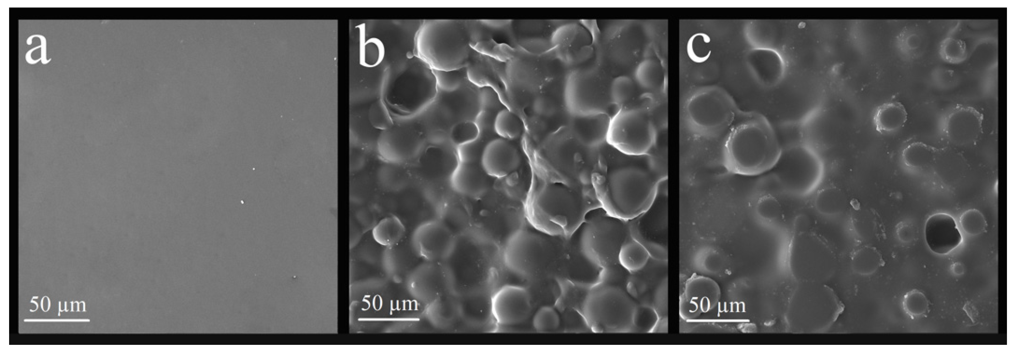 Polymers 14 04306 g007