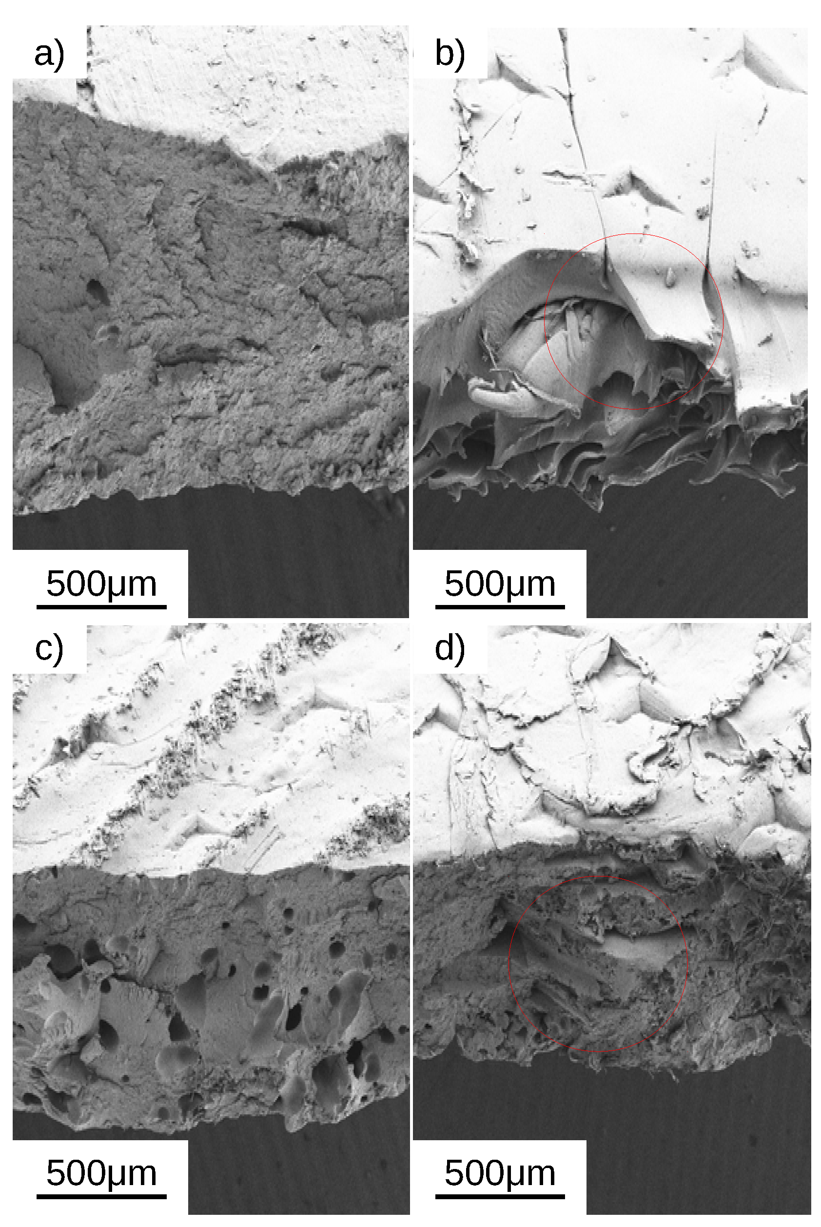 Polymers 14 04312 g008