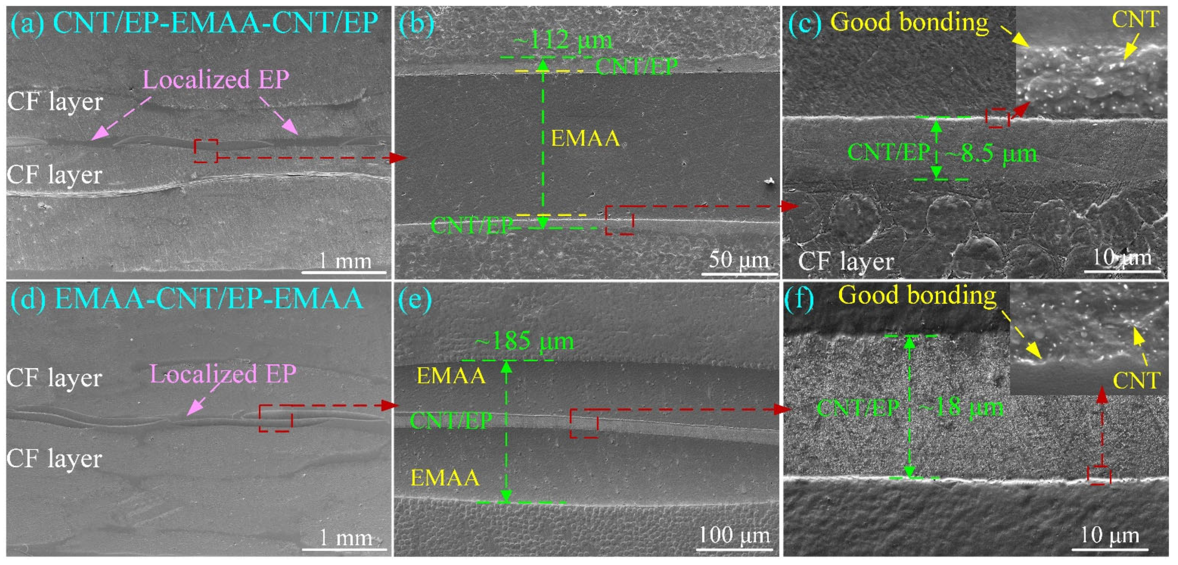 Polymers 14 04313 g004