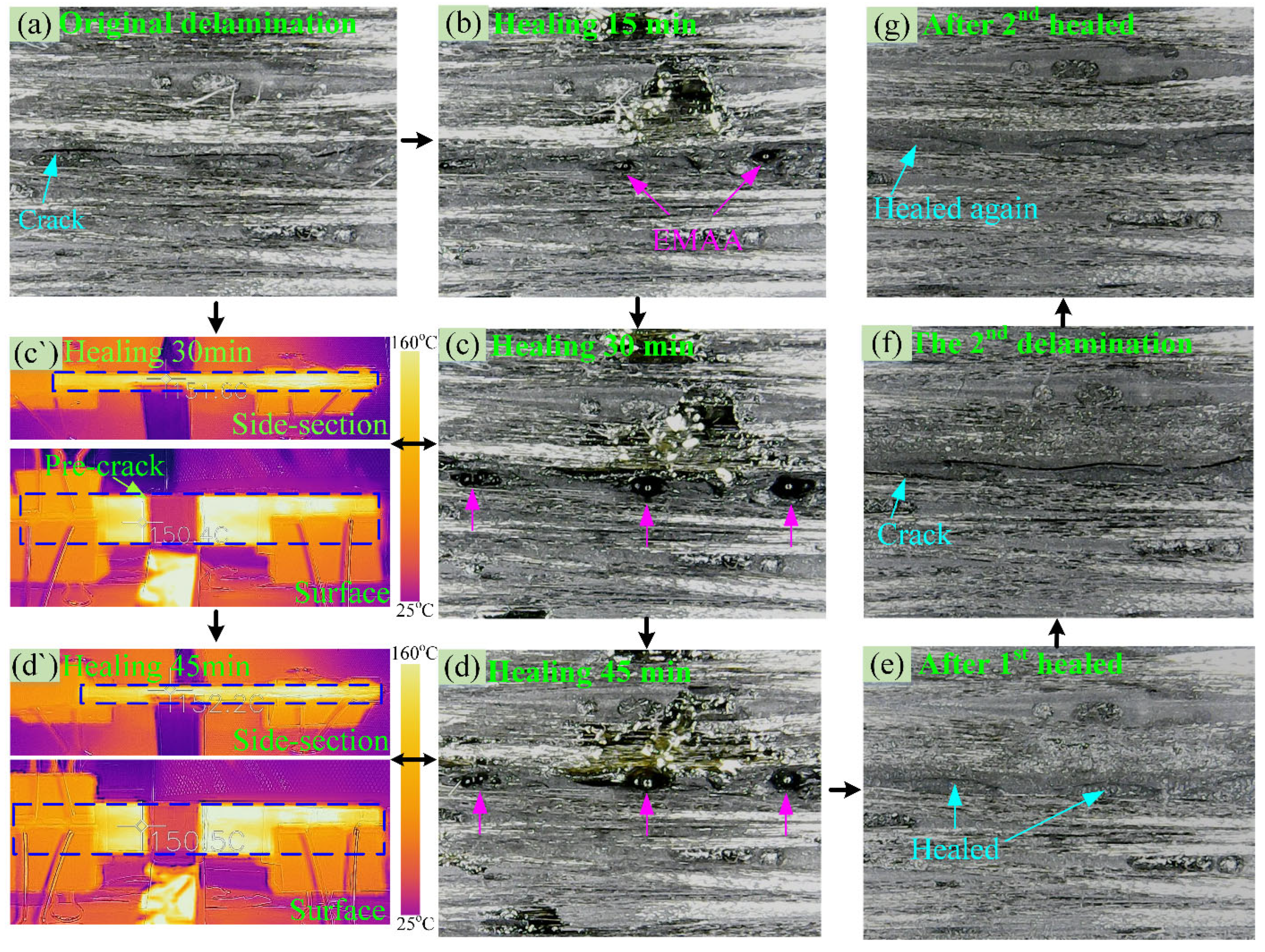 Polymers 14 04313 g006