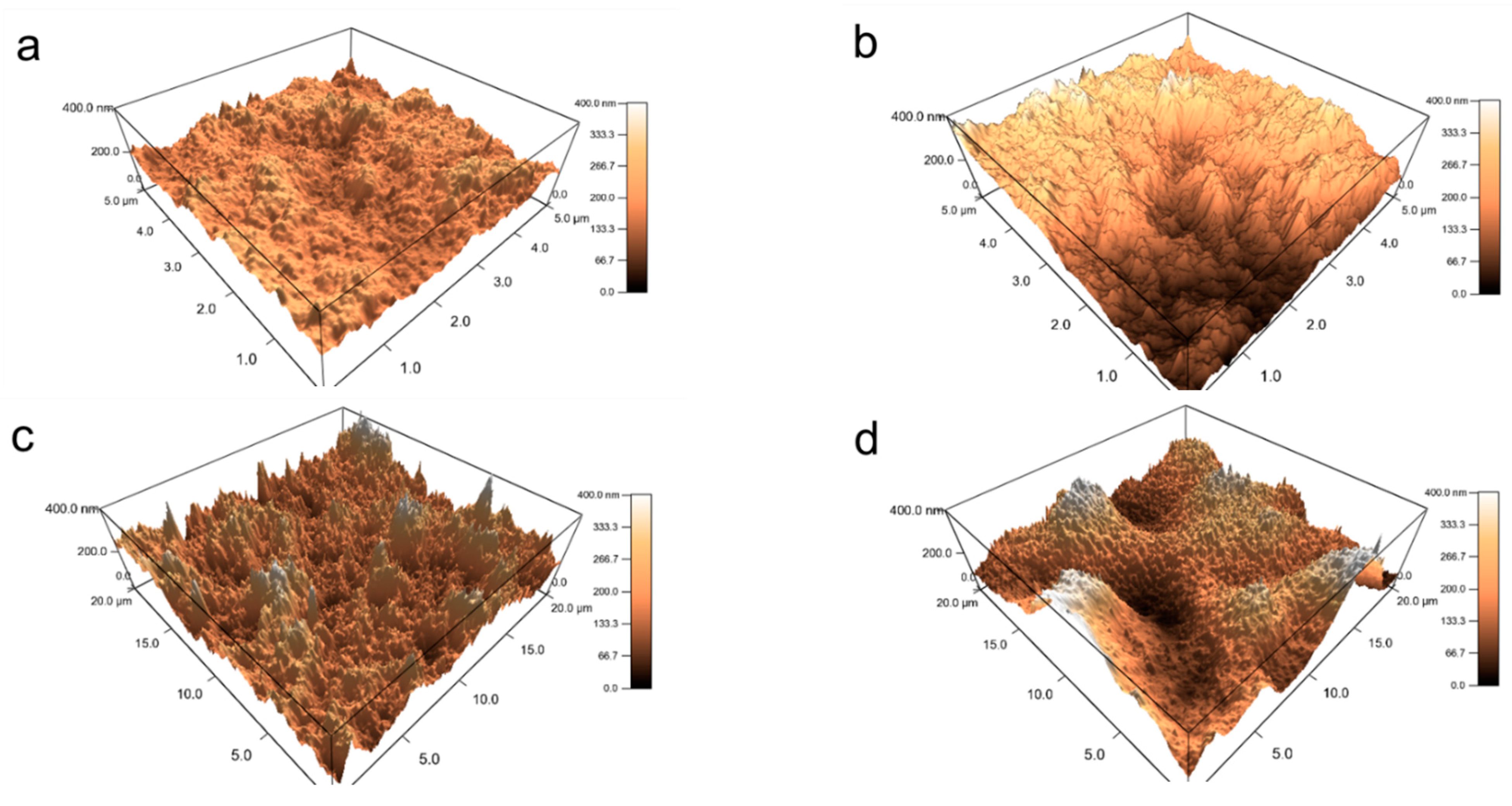 Polymers 14 04333 g004