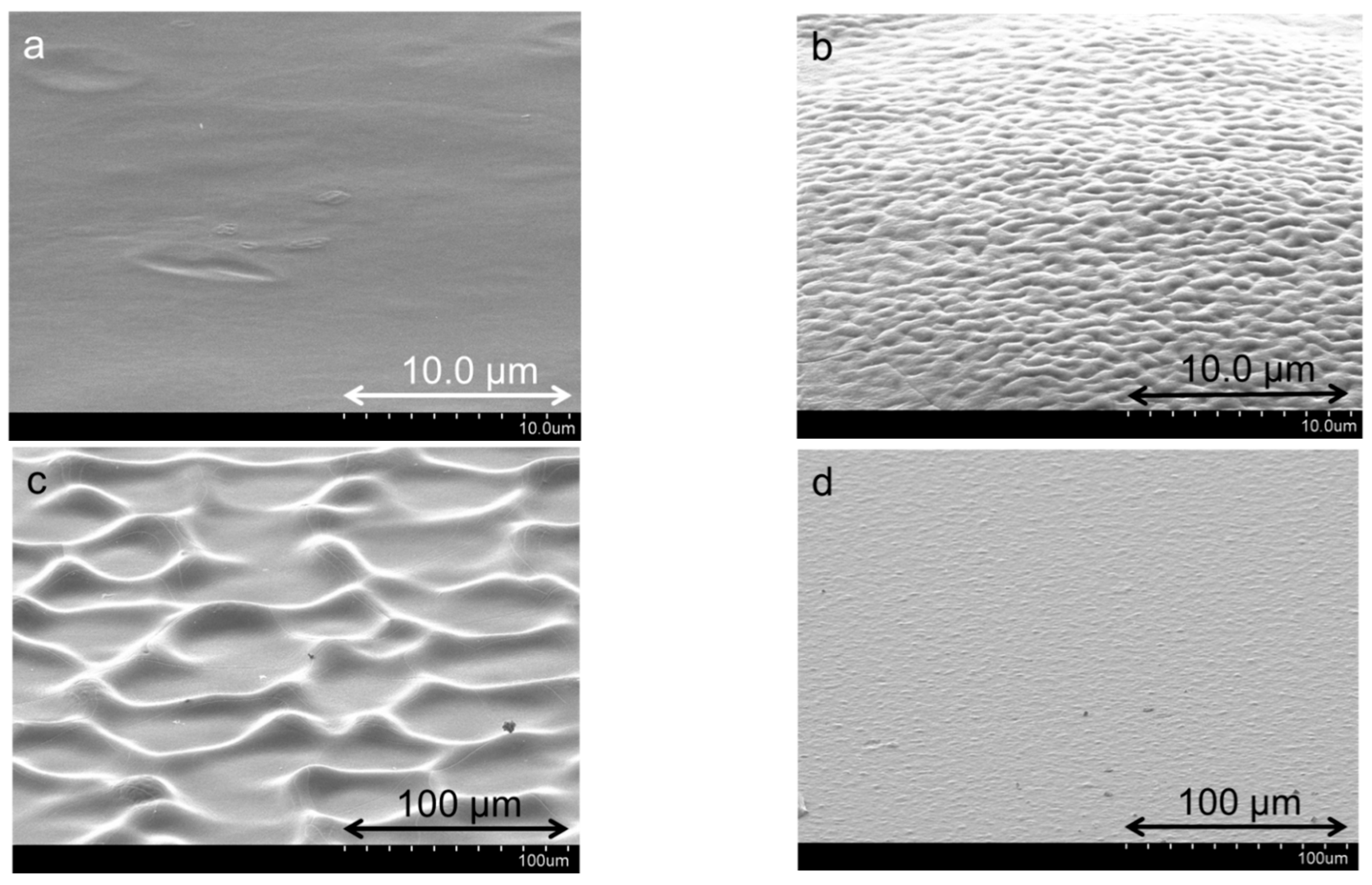 Polymers 14 04333 g009