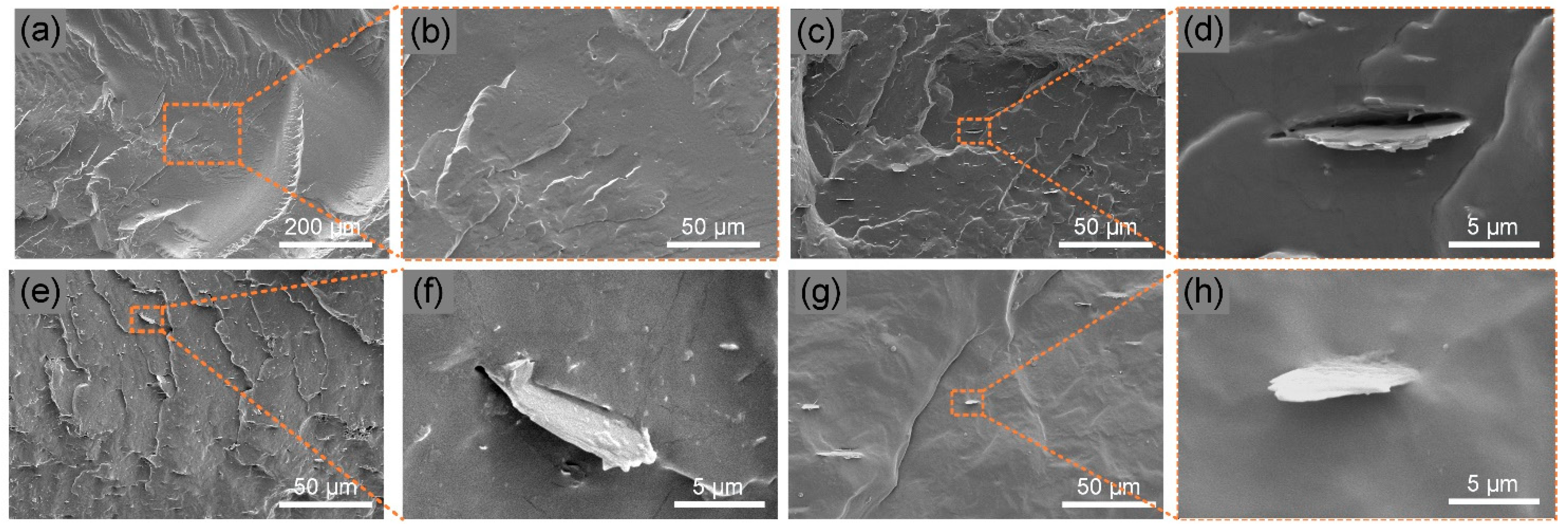 Polymers 14 04341 g004