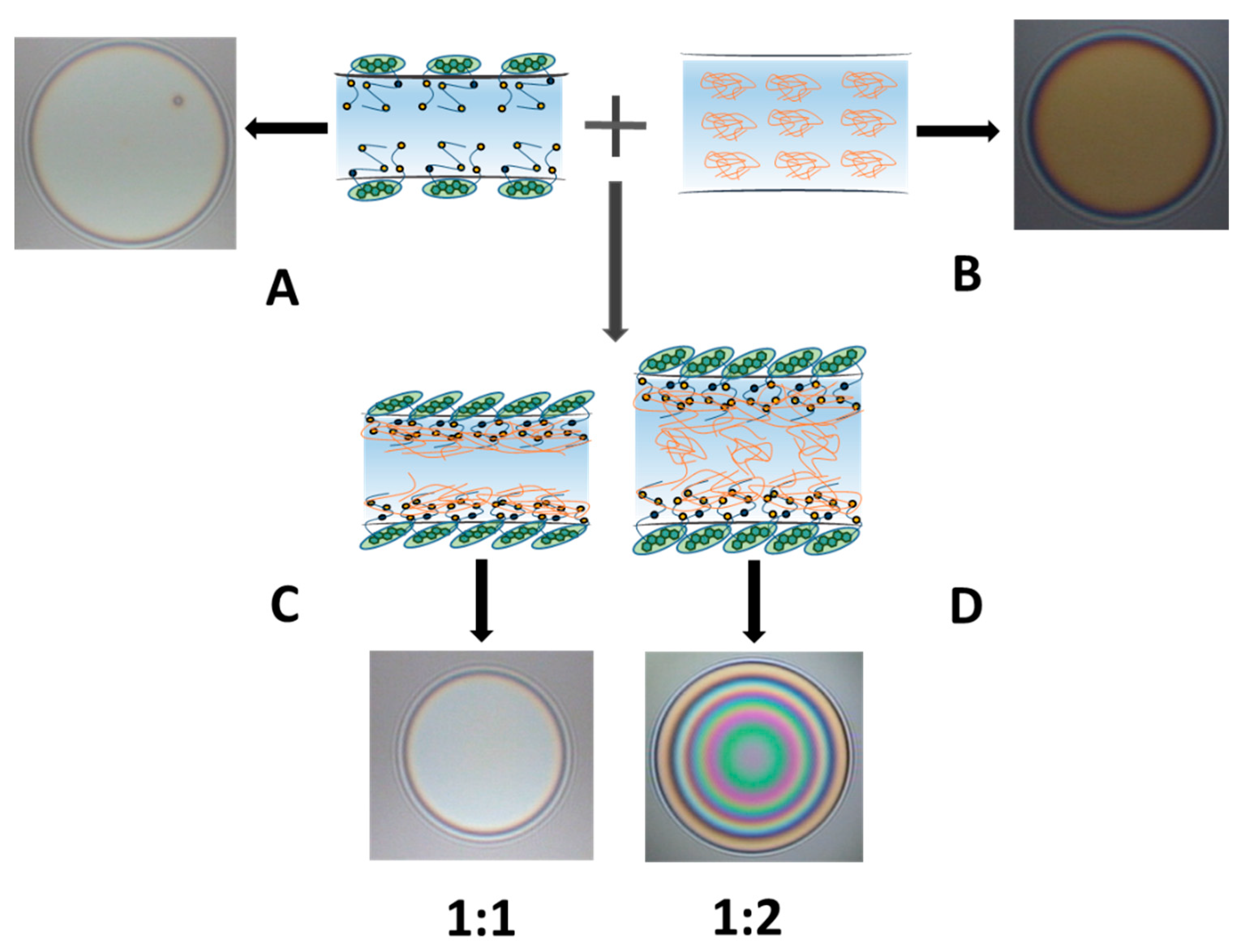 Polymers 14 04362 sch001