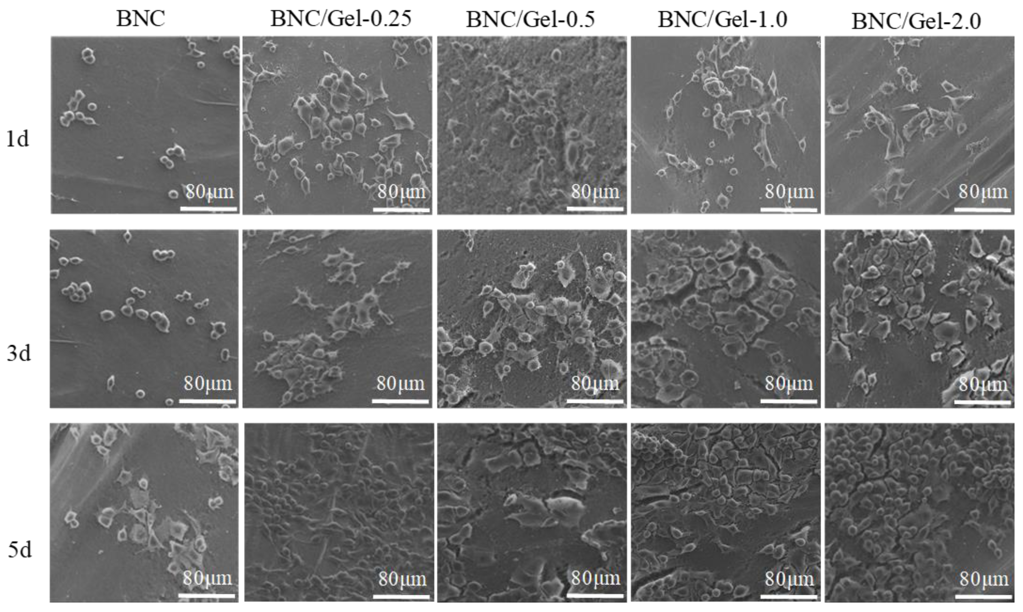 Polymers 14 04367 g007 Polymers 14 04367 g007