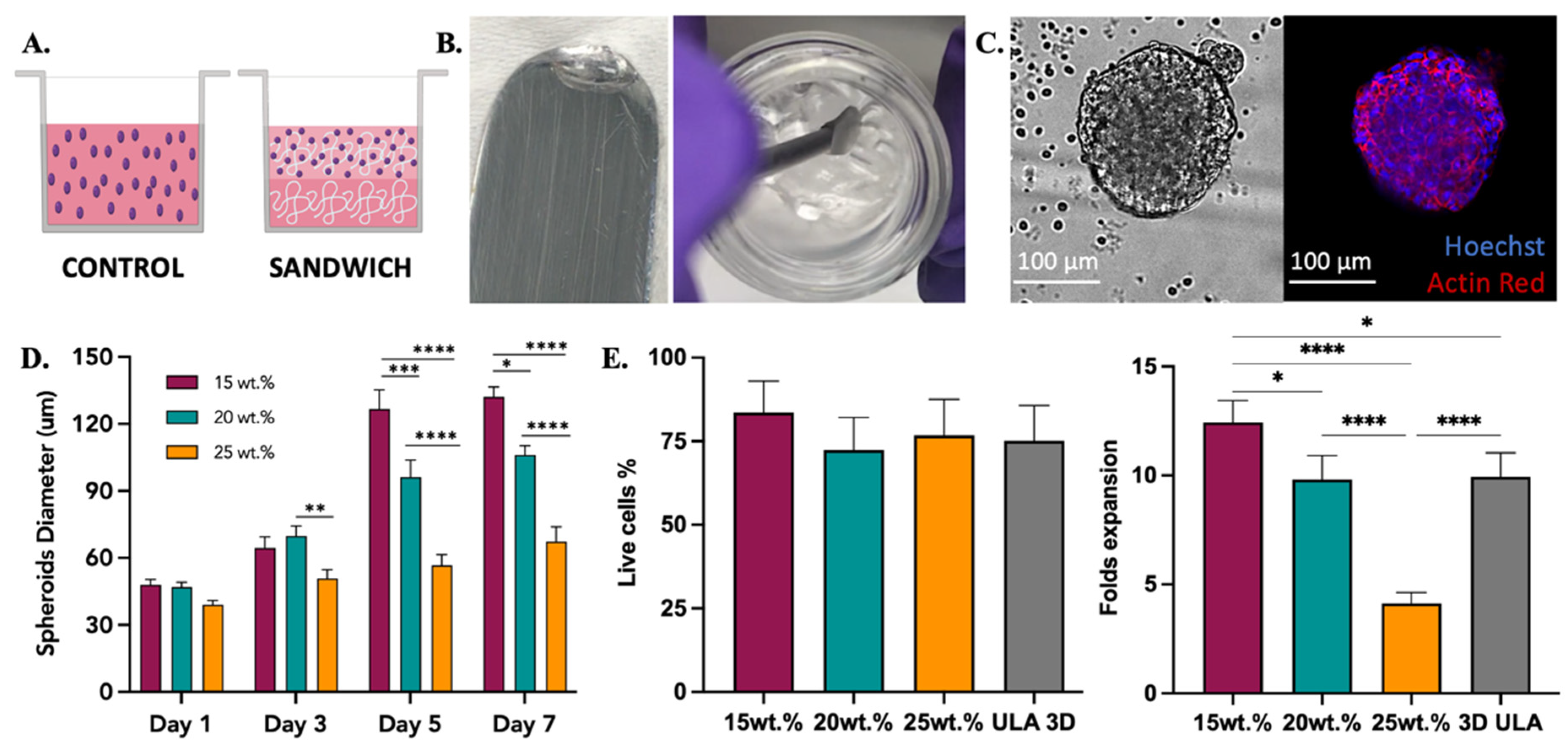 Polymers 14 04379 g005 Polymers 14 04379 g005