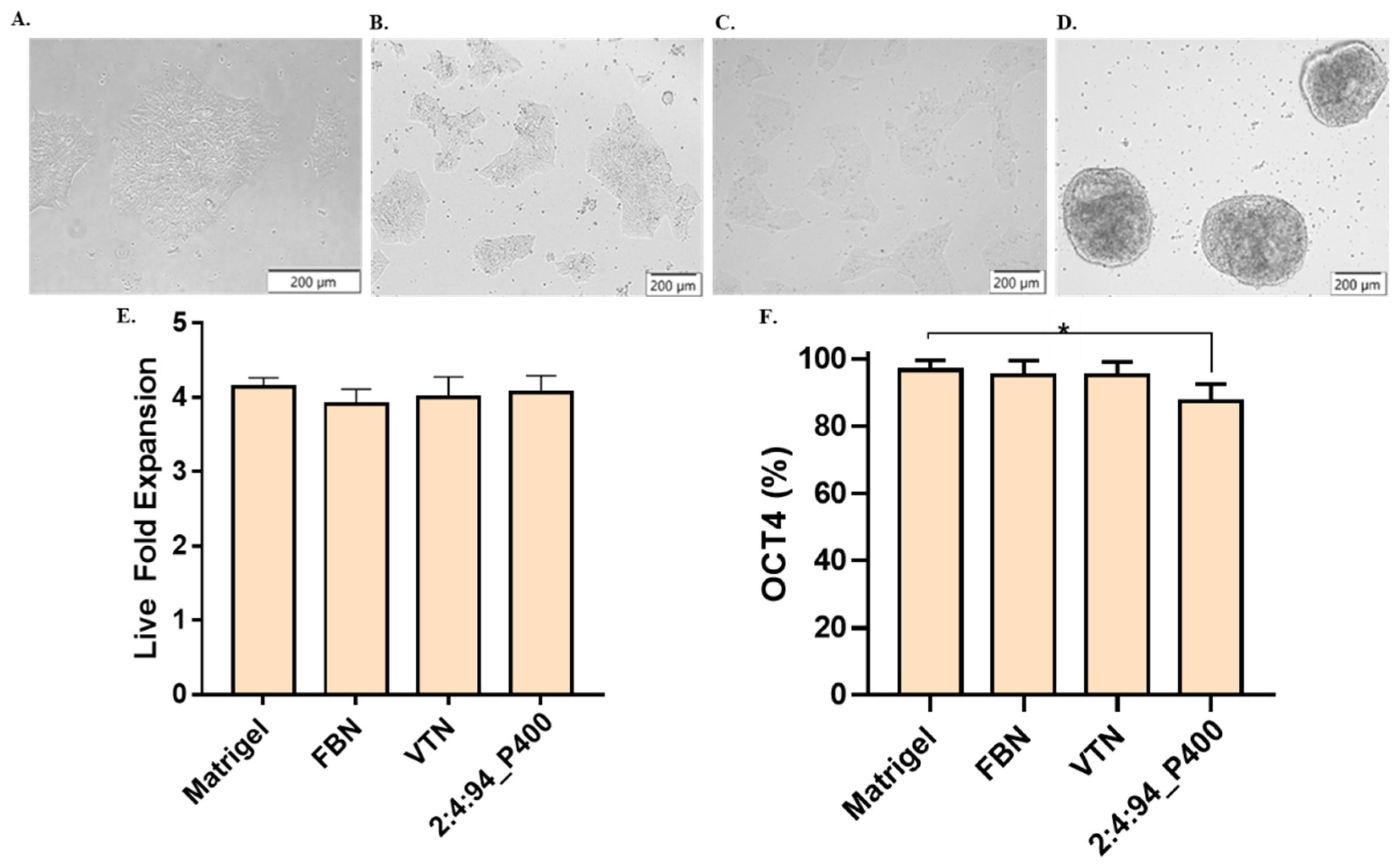 Polymers 14 04379 g007 Polymers 14 04379 g007