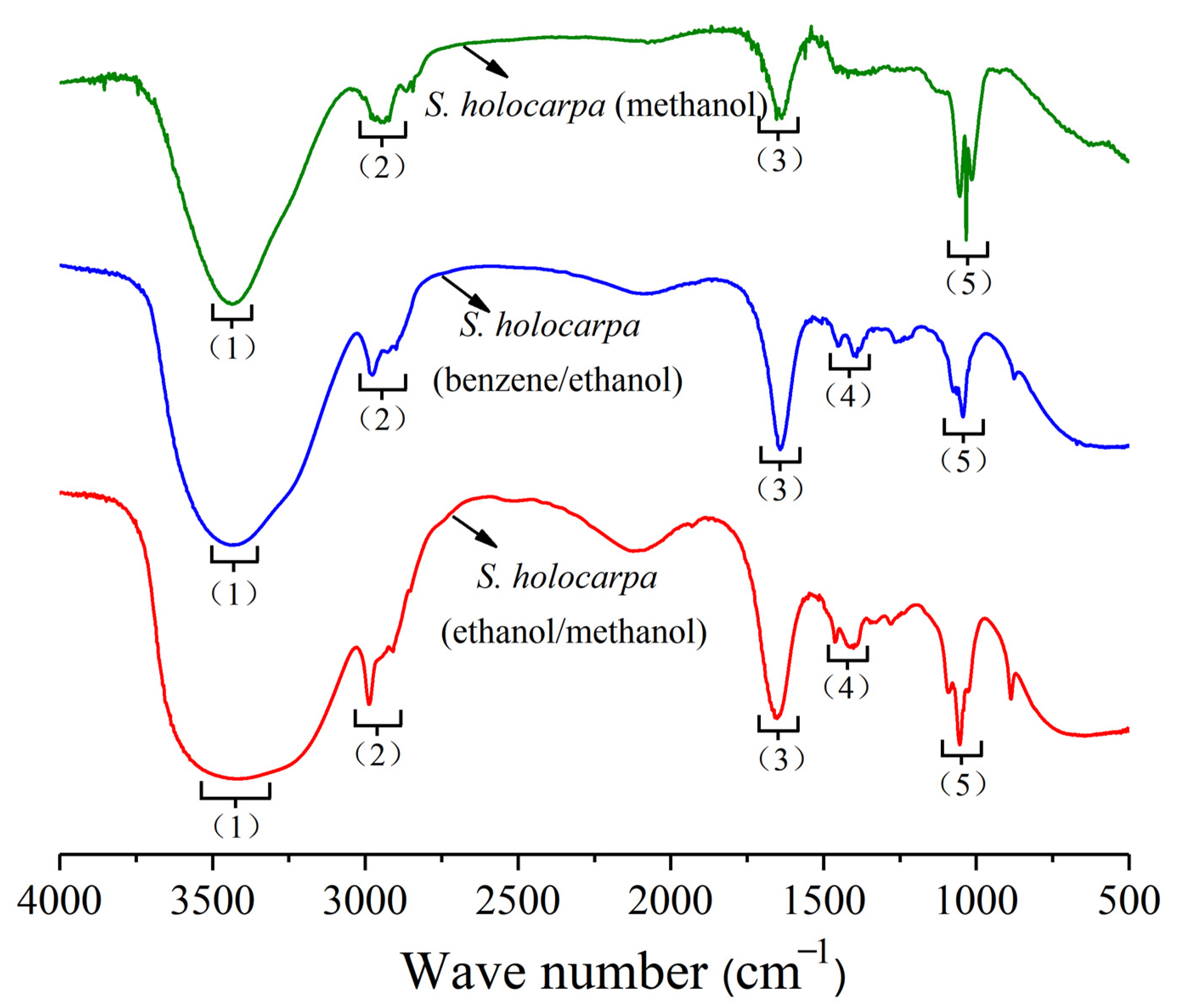 Polymers 14 04385 g001 Polymers 14 04385 g001