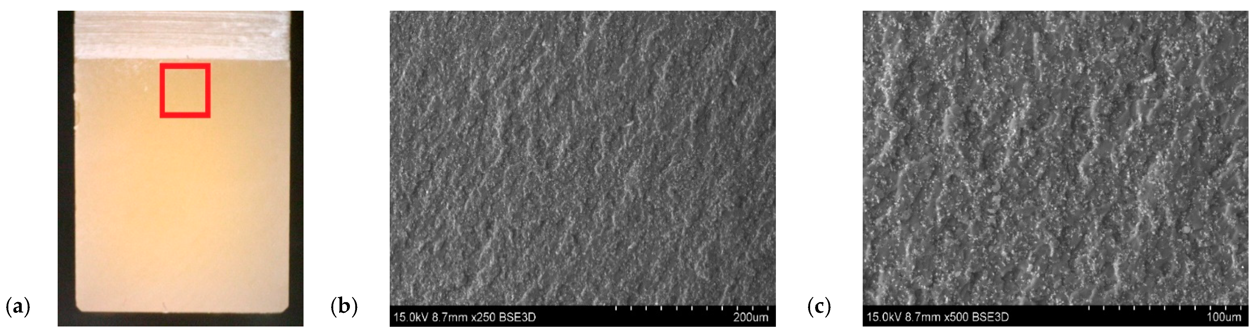 Polymers 14 04386 g015 Polymers 14 04386 g015