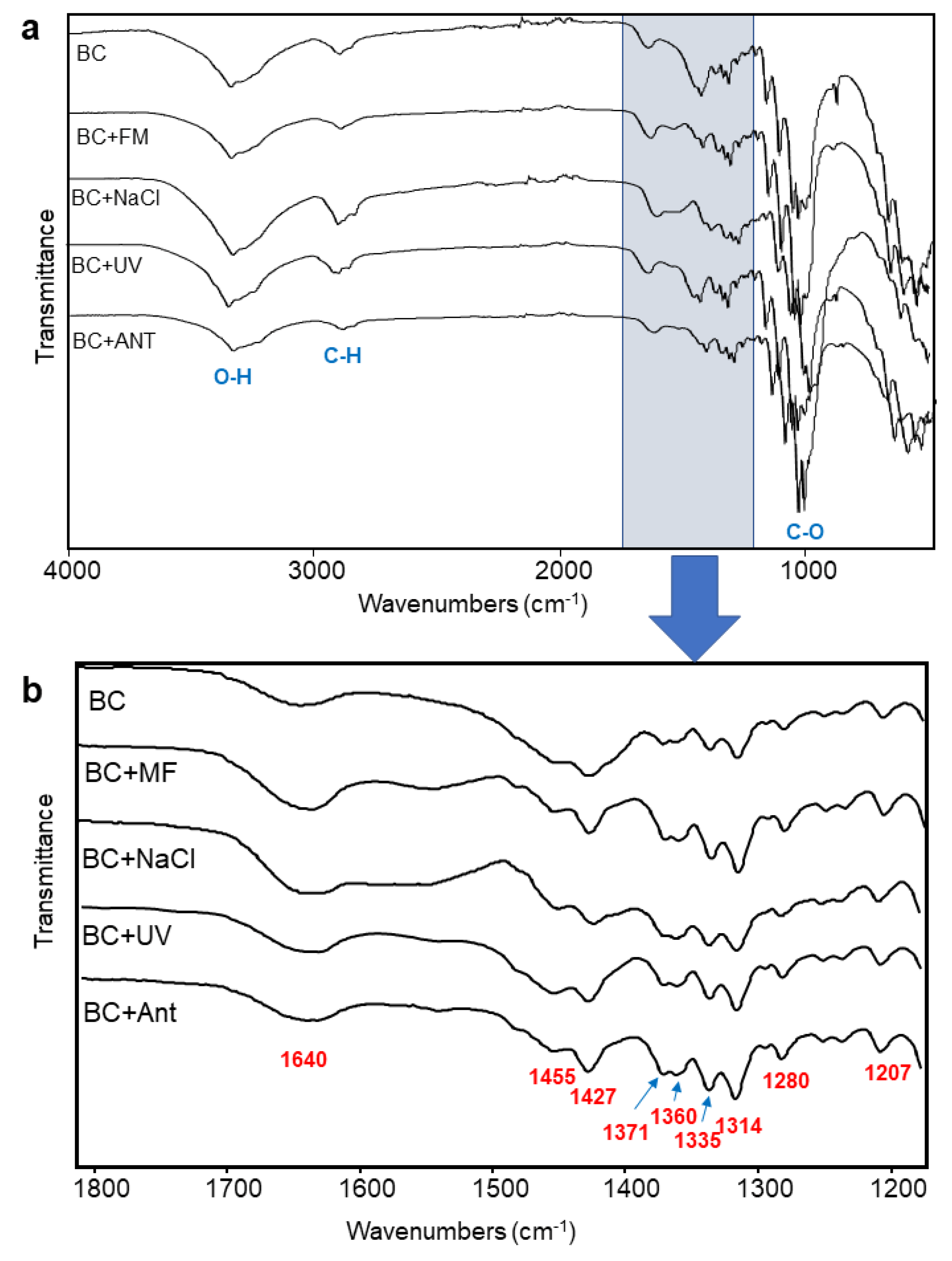 Polymers 14 04388 g004