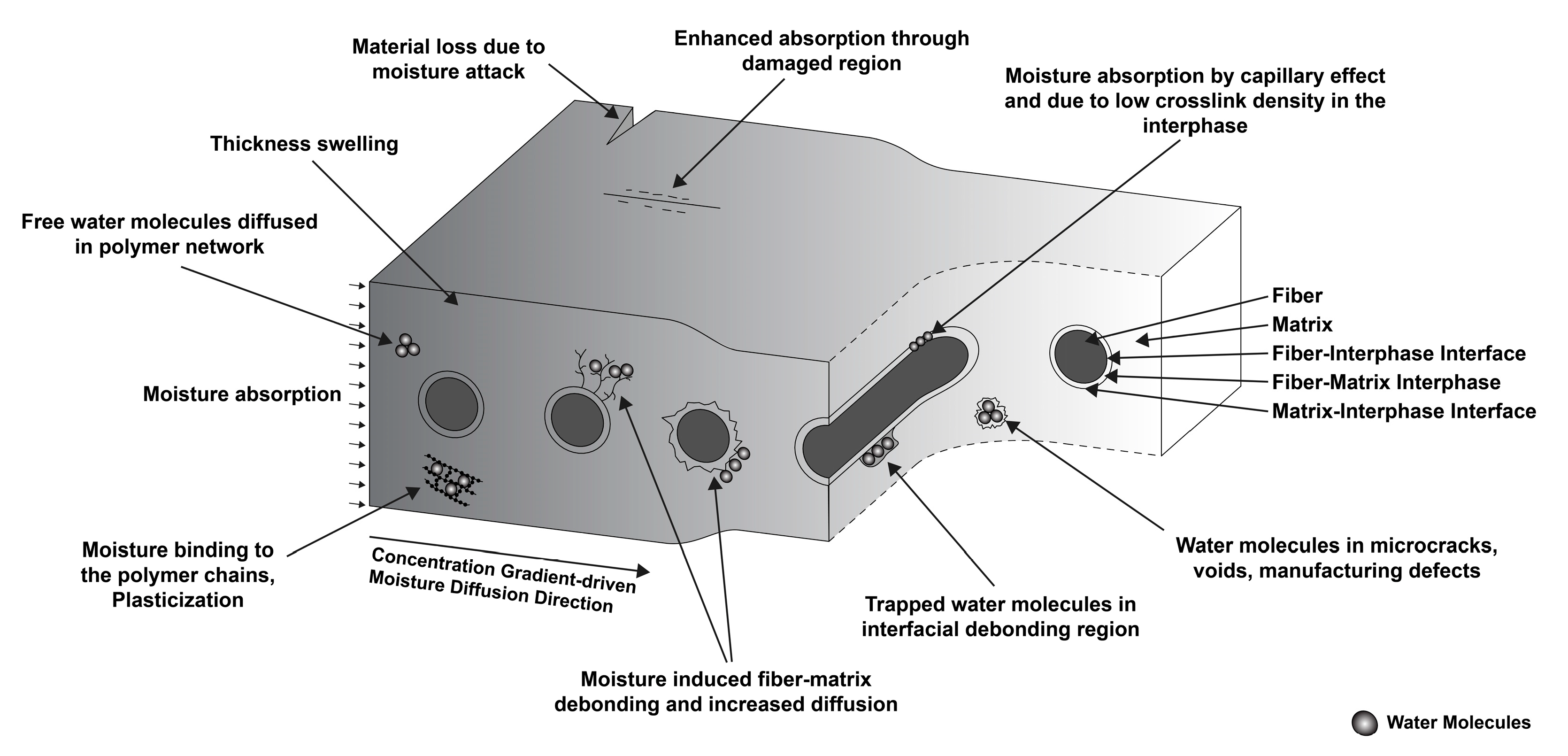 https://www.mdpi.com/polymers/polymers-14-04403/article_deploy/html/images/polymers-14-04403-g001.png