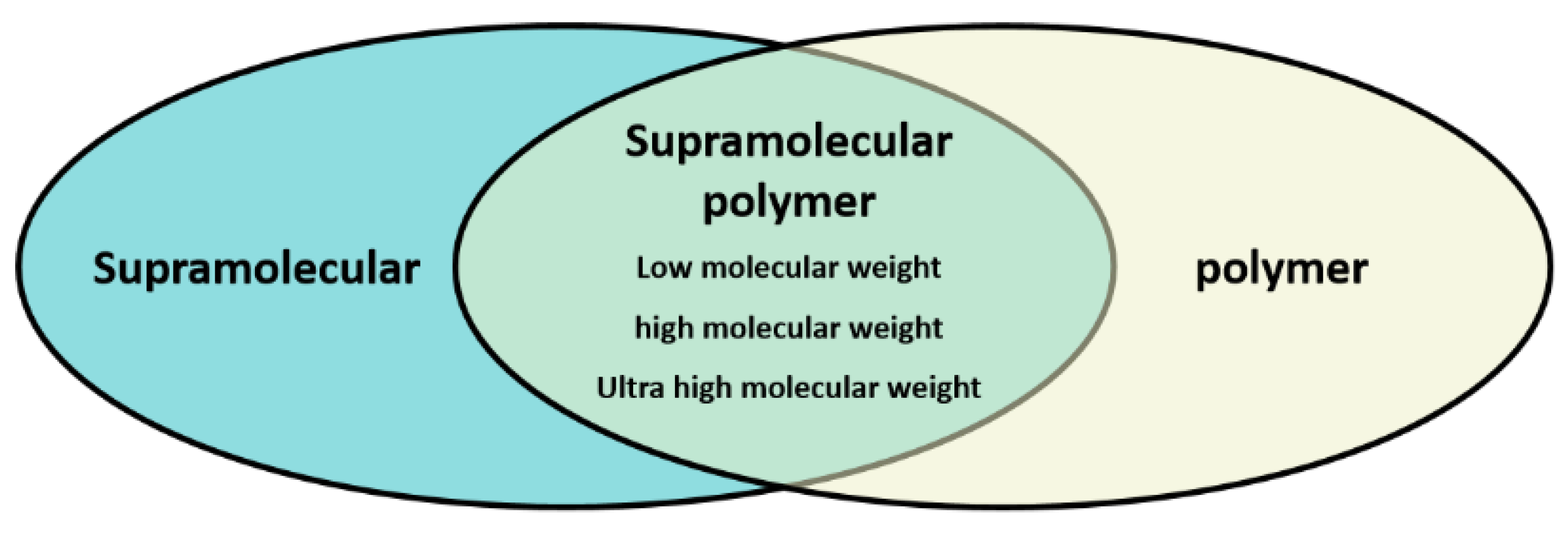 Polymers 14 04405 g001
