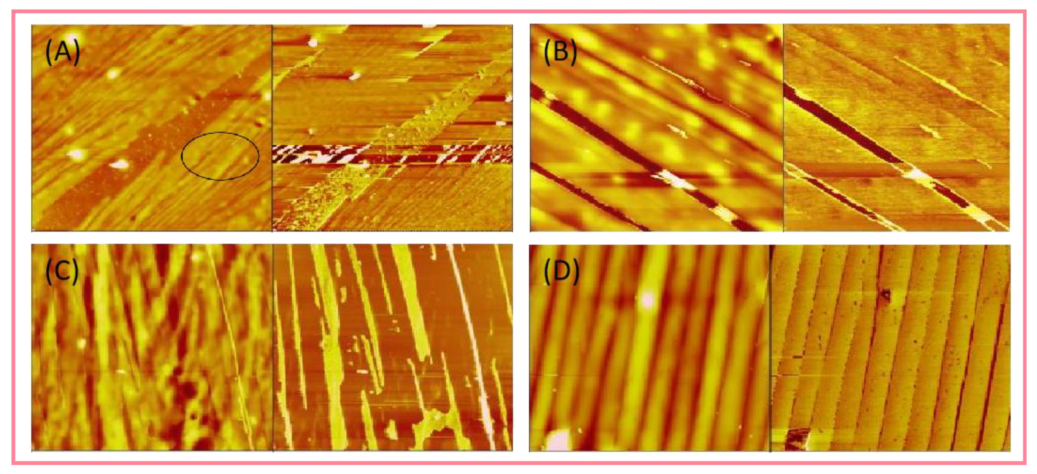 Polymers 14 04405 g006