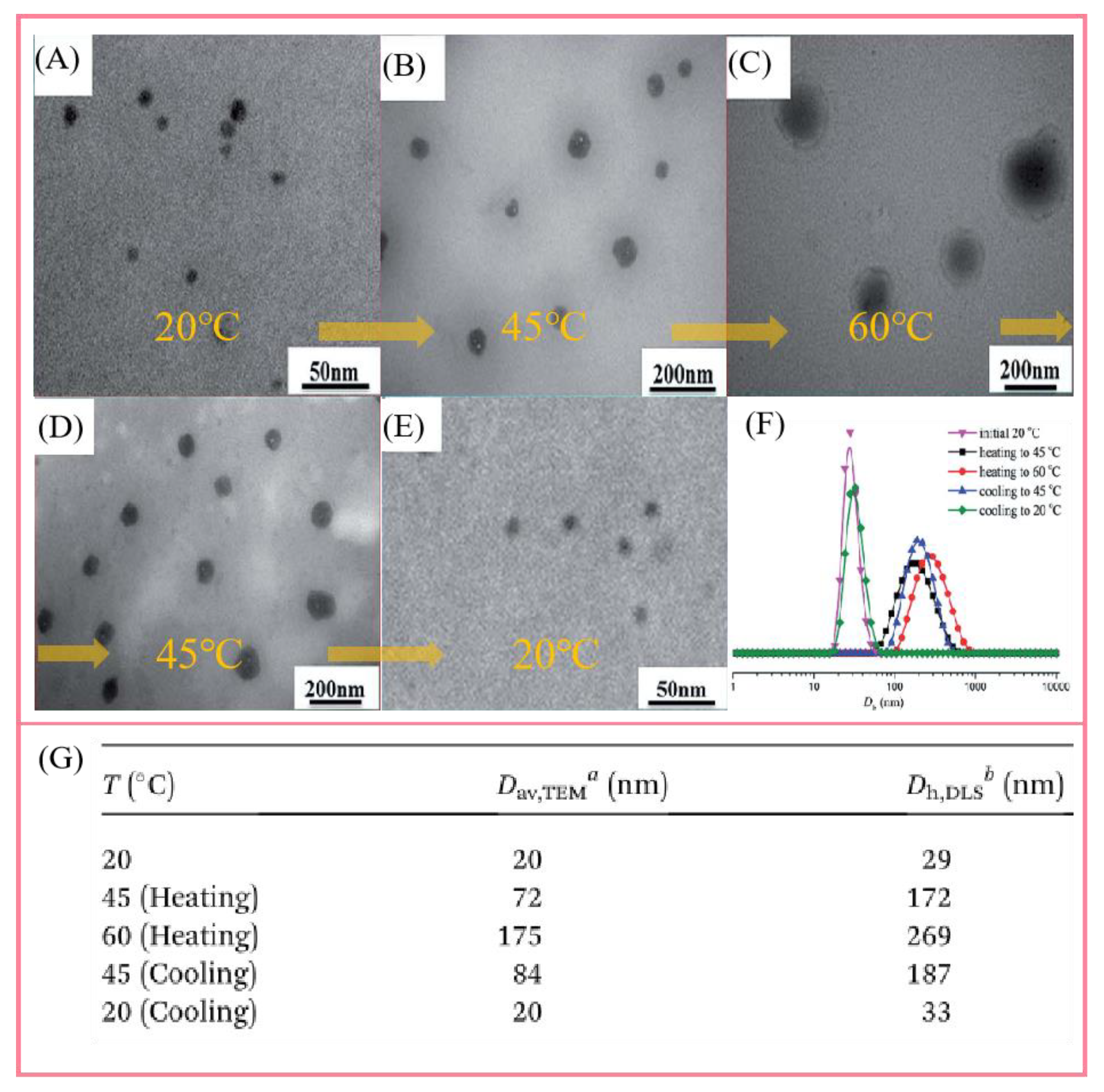 Polymers 14 04405 g007