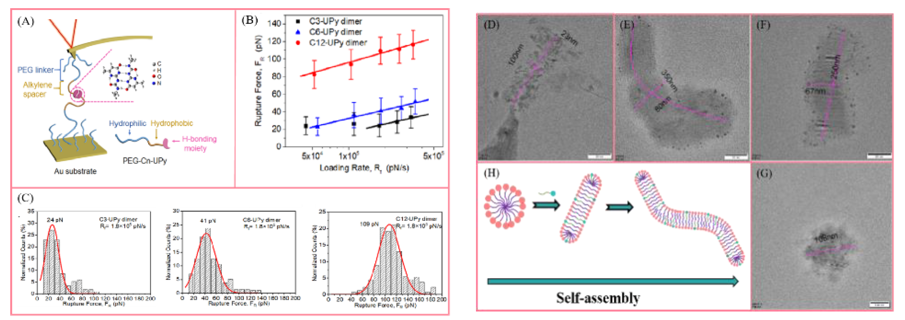 Polymers 14 04405 g008