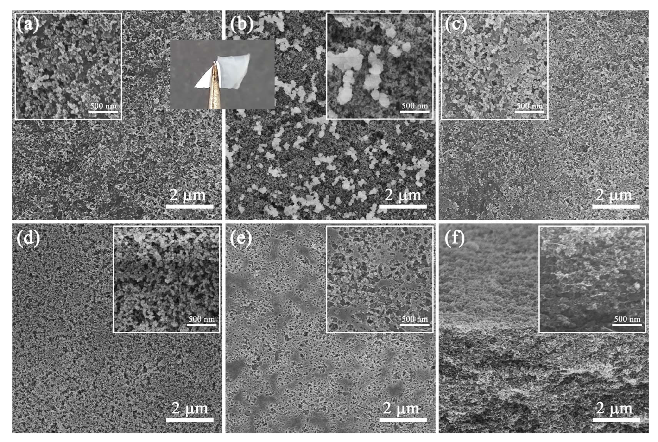 Polymers 14 04413 g004