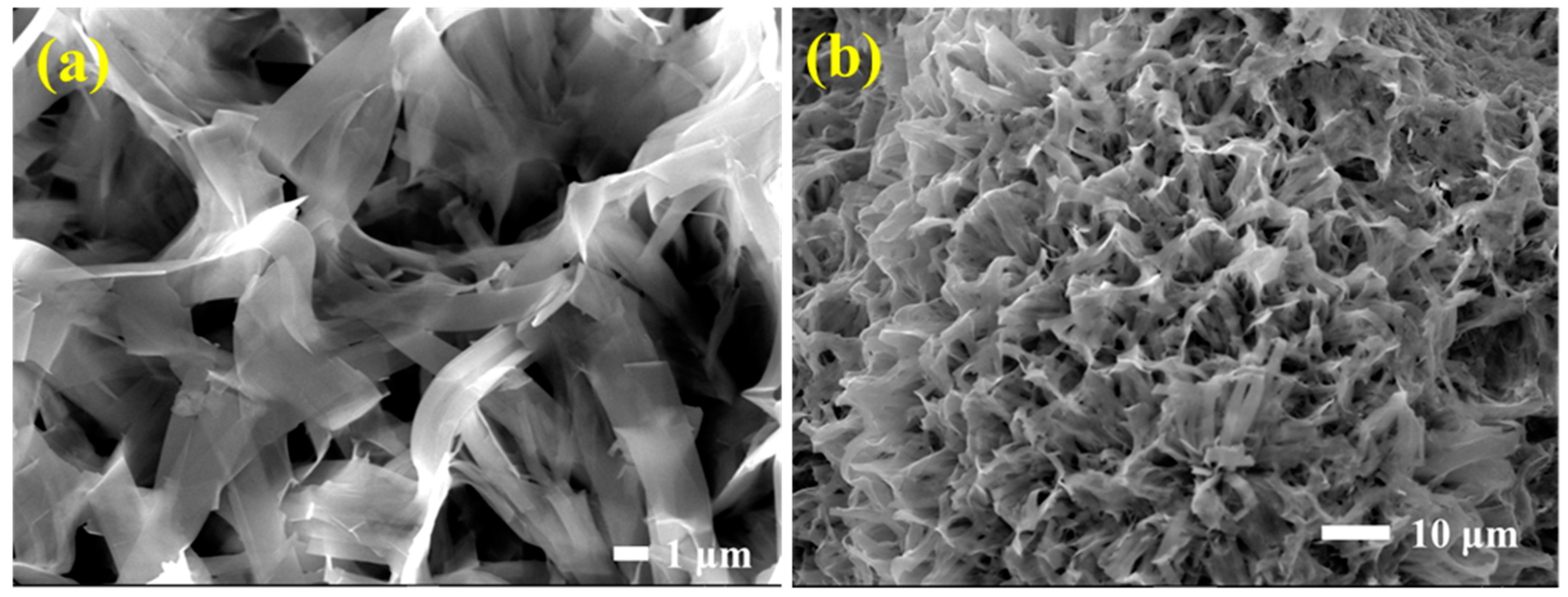 Polymers 14 04414 g003