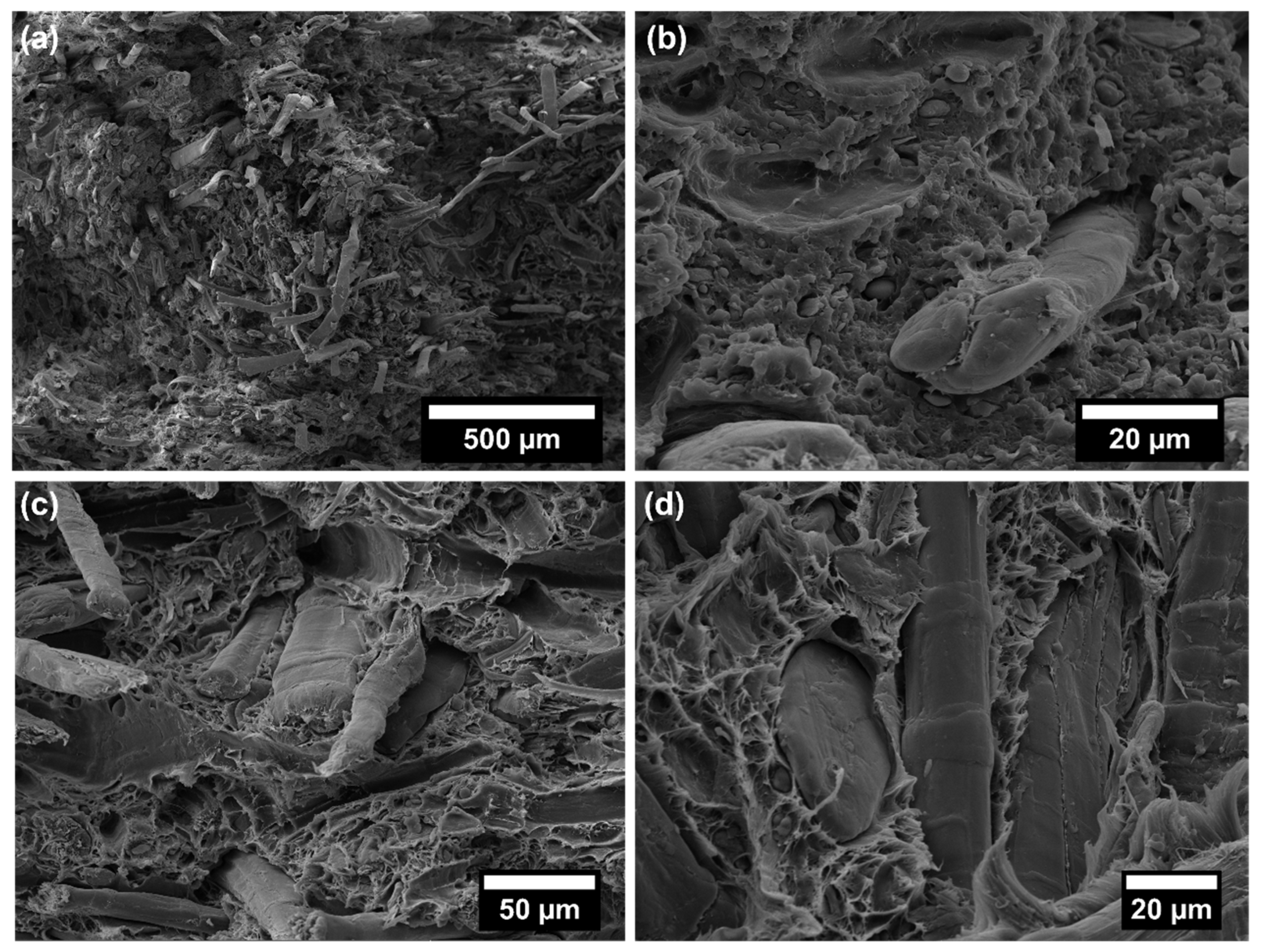 Polymers 14 04423 g006 Polymers 14 04423 g006