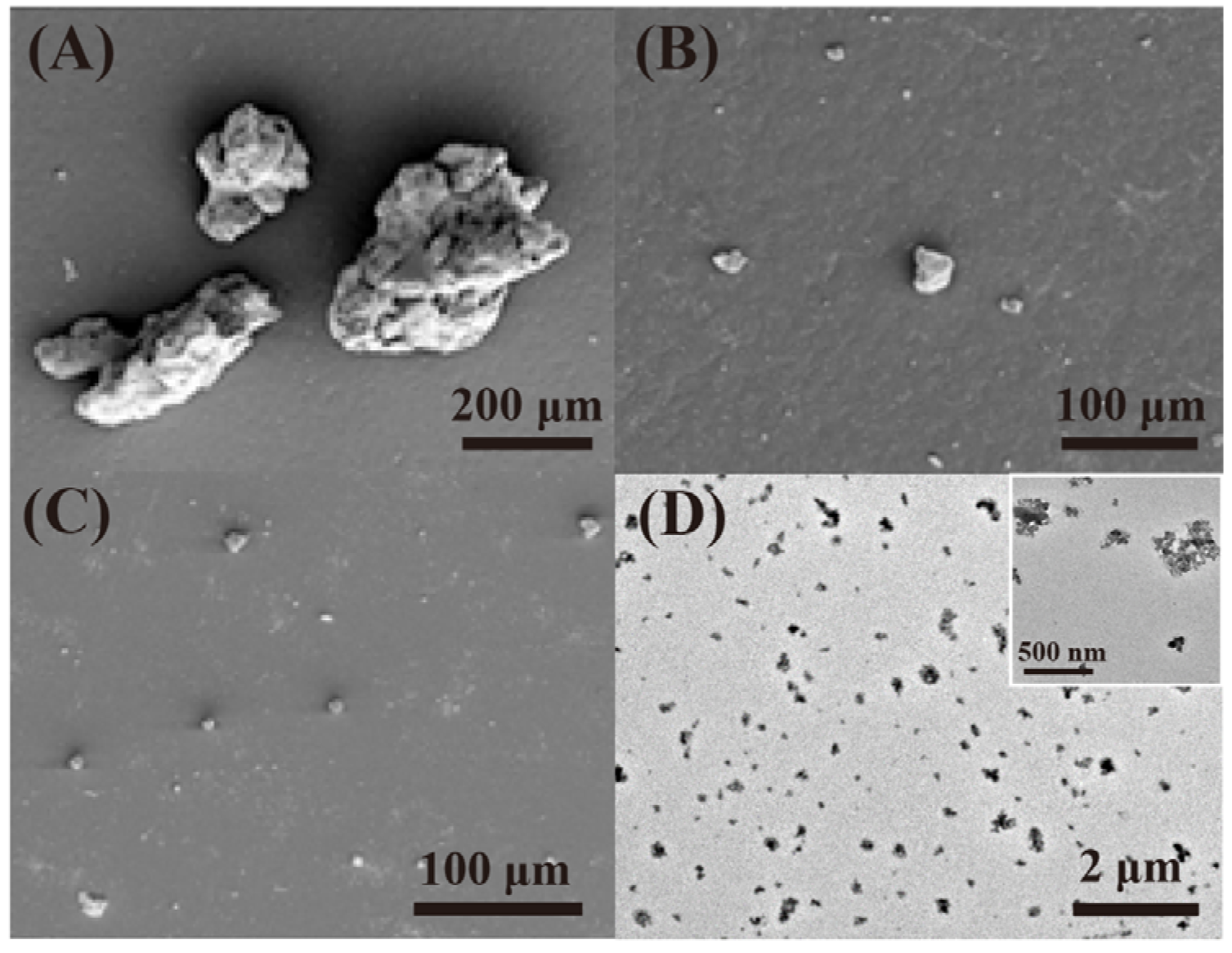 Polymers 14 04429 g001