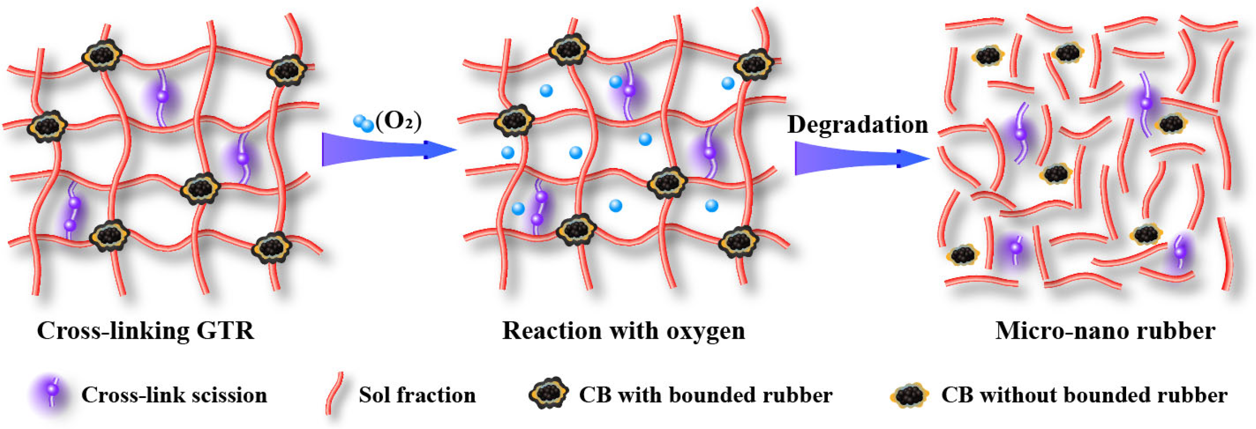 Polymers 14 04429 g004