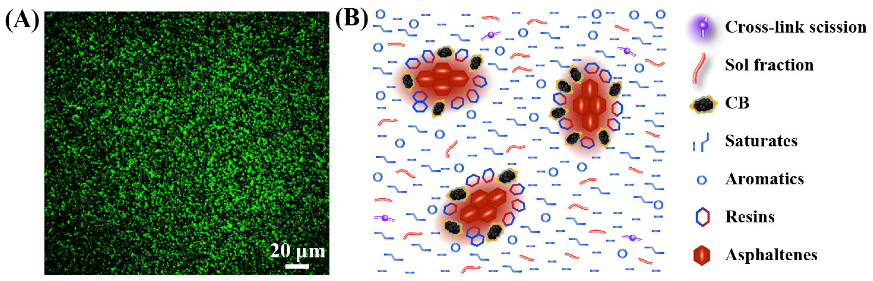 Polymers 14 04429 g008