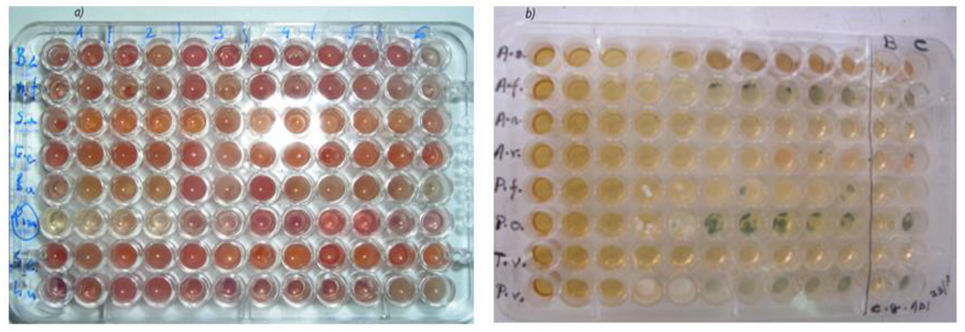Polymers 14 04446 g008 Polymers 14 04446 g008