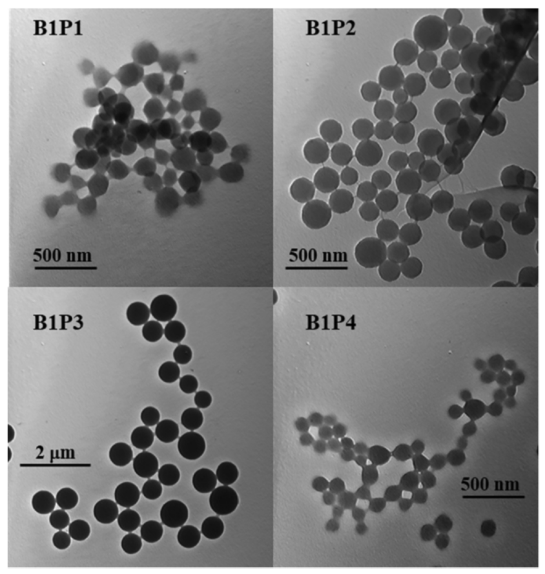 Polymers 14 04448 g005 Polymers 14 04448 g005