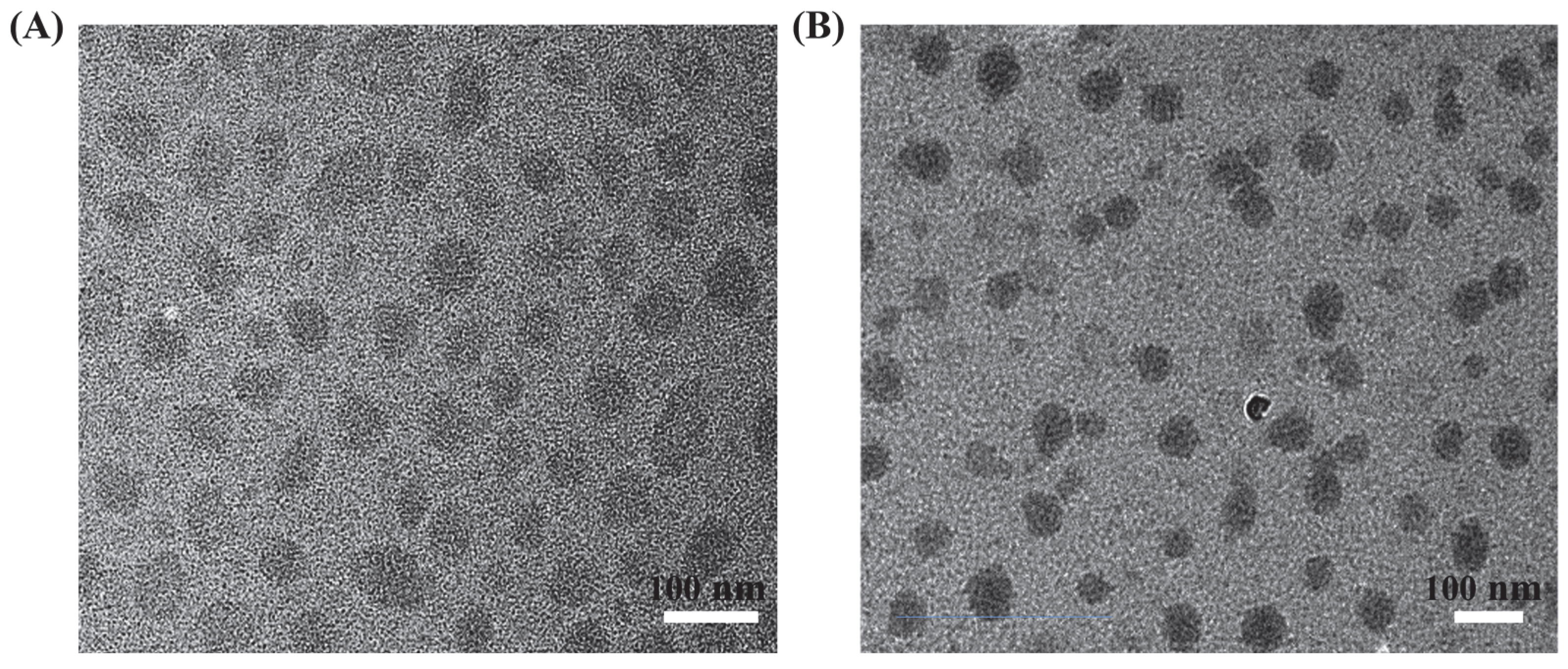 Polymers 14 04451 g005 Polymers 14 04451 g005