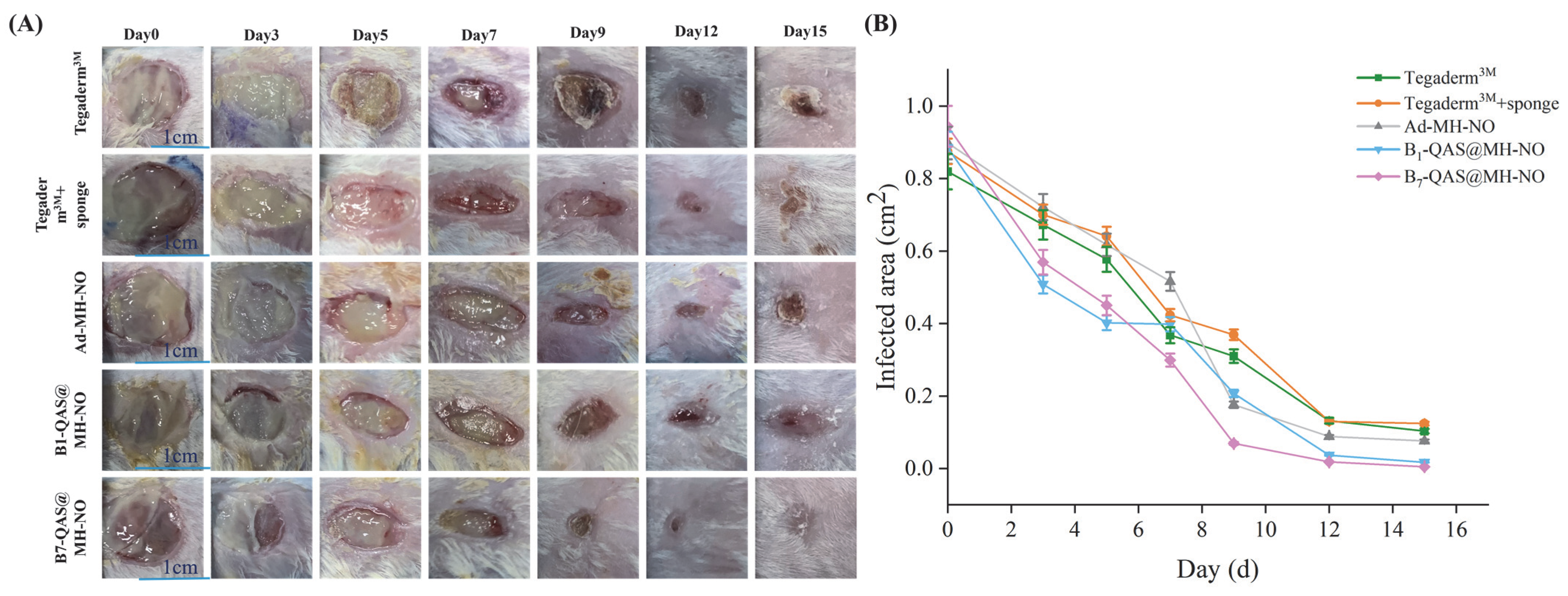 Polymers 14 04451 g009 Polymers 14 04451 g009