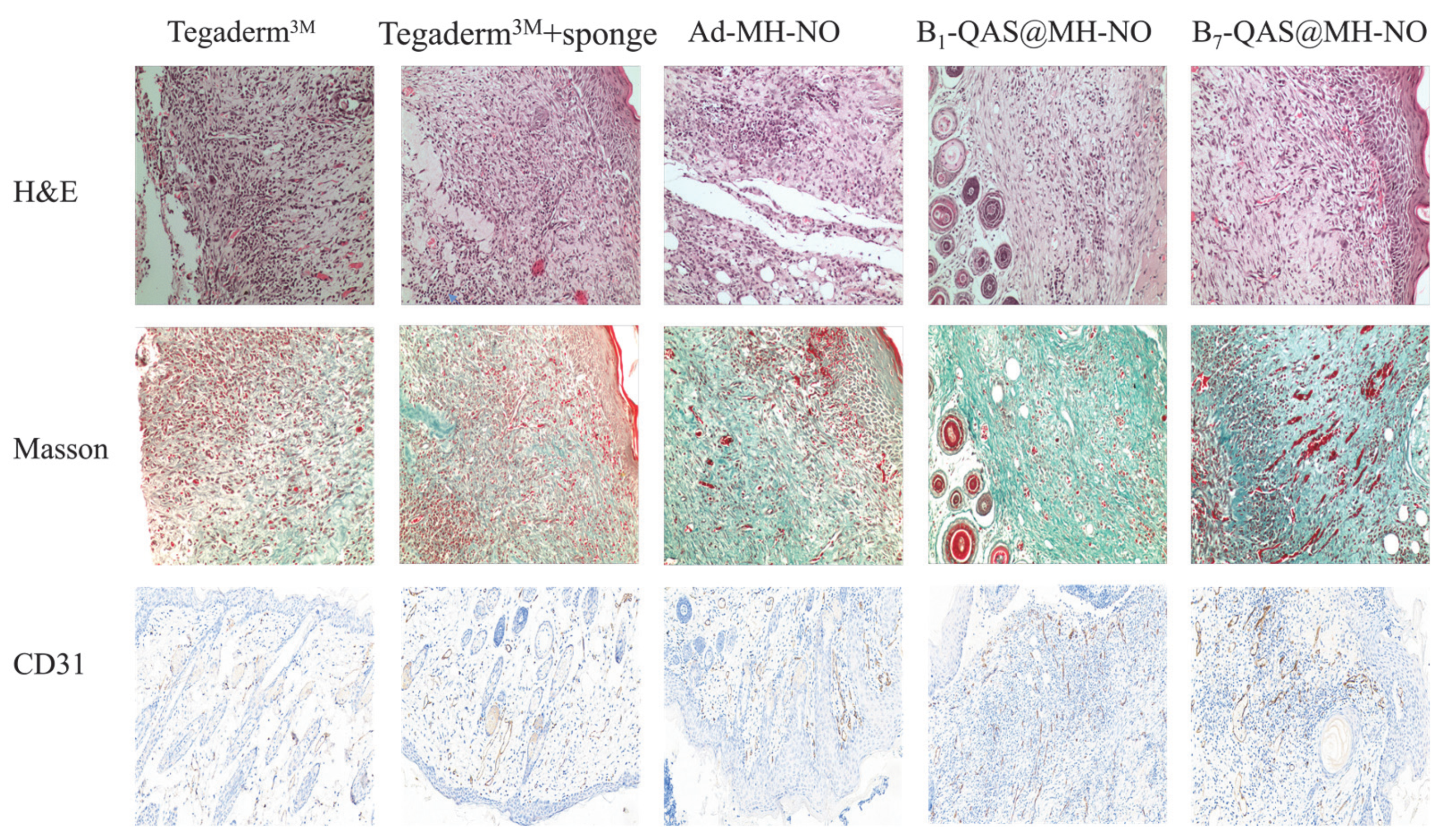 Polymers 14 04451 g010 Polymers 14 04451 g010