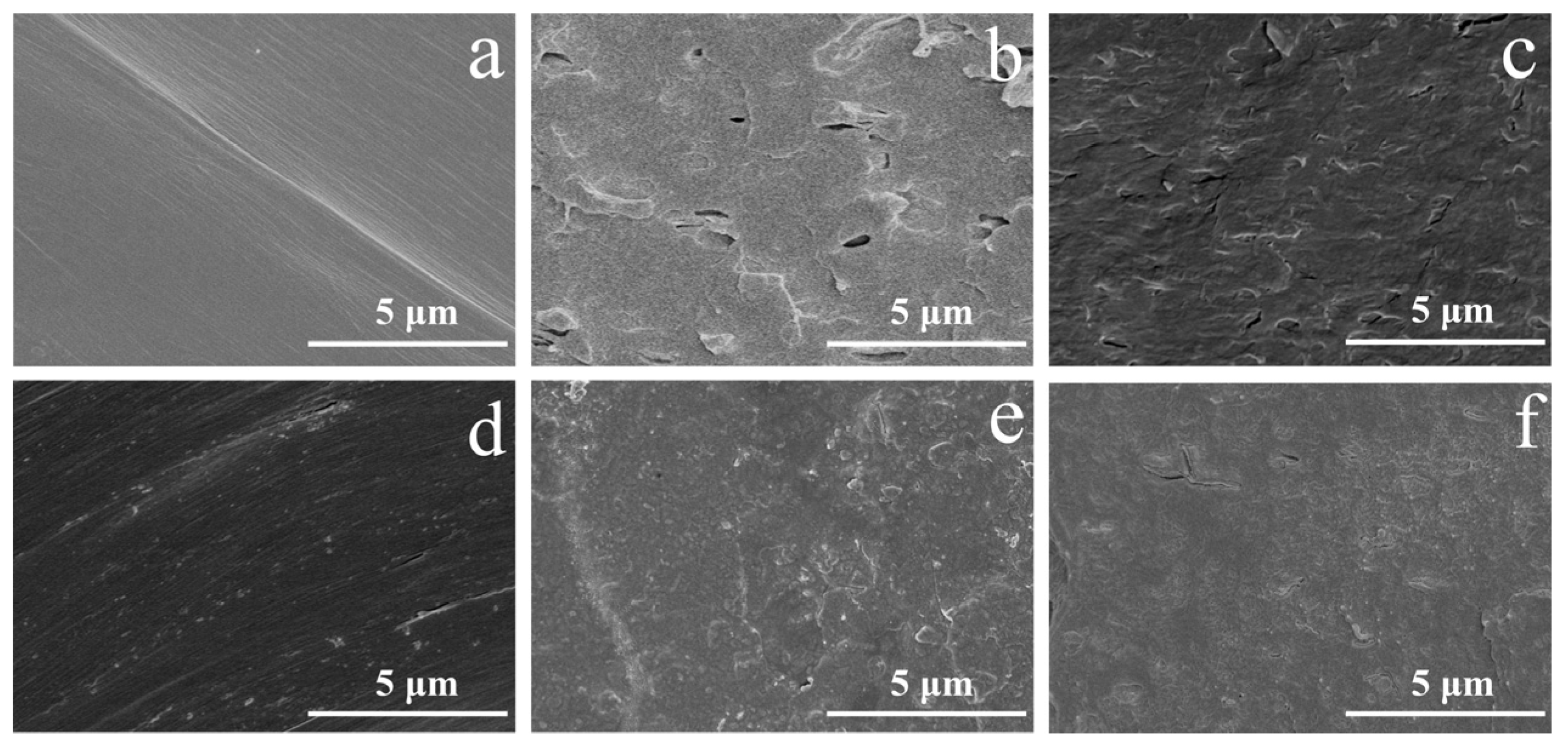 Polymers 14 04453 g002 Polymers 14 04453 g002