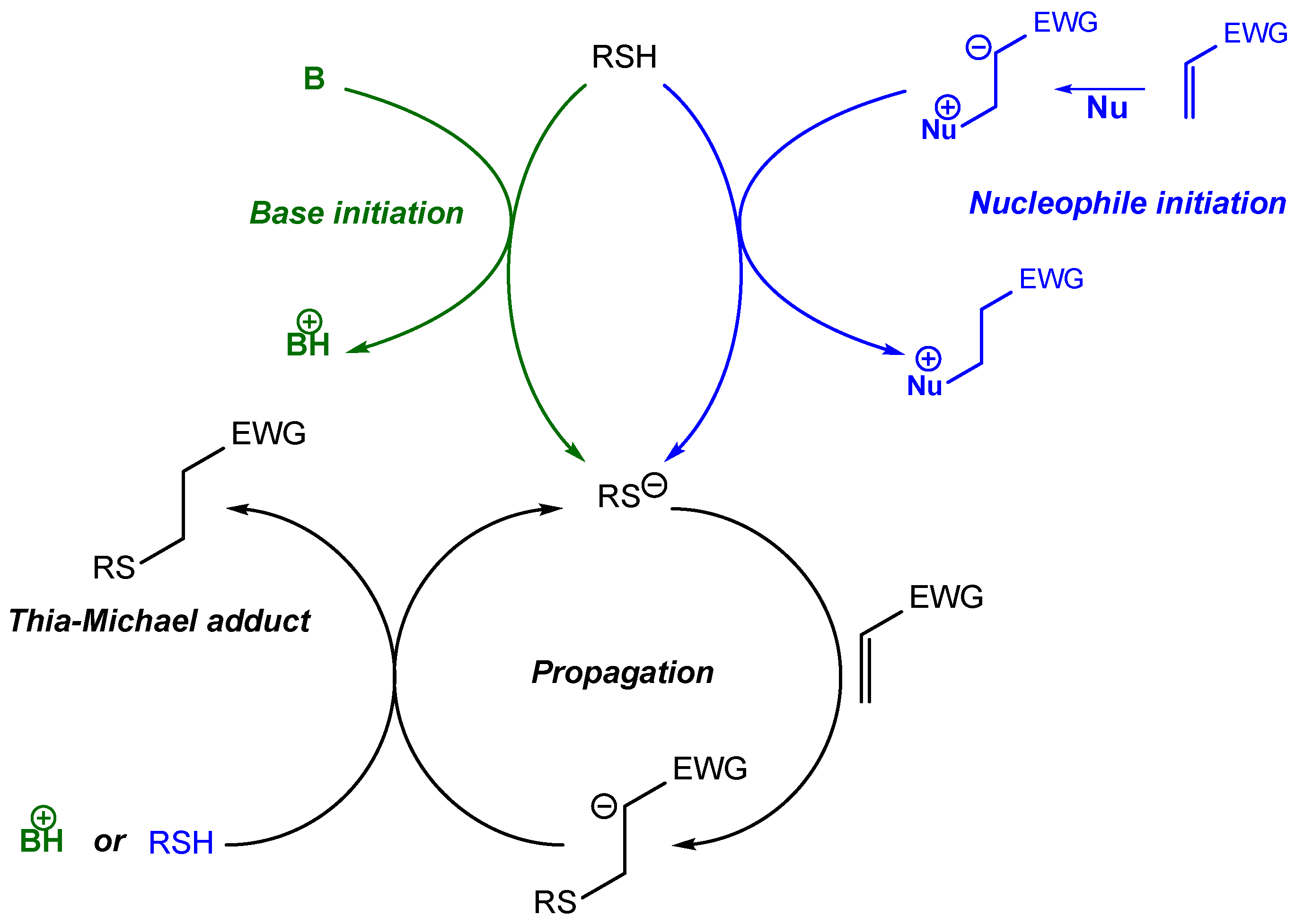 Polymers 14 04457 sch002 Polymers 14 04457 sch002