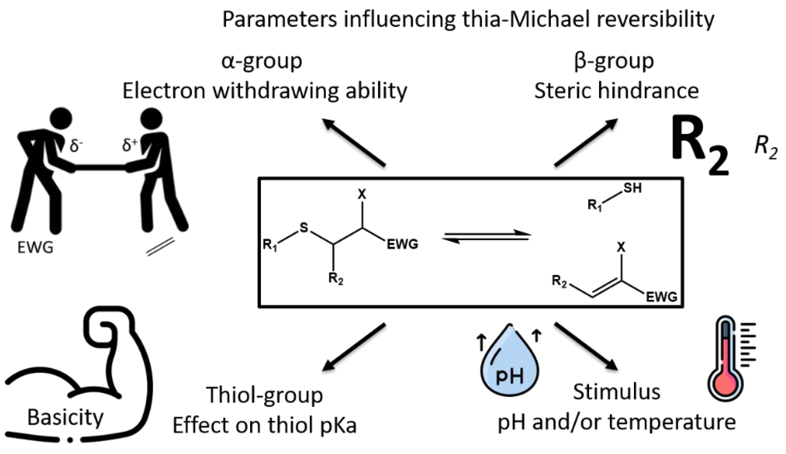 Polymers 14 04457 sch006 Polymers 14 04457 sch006