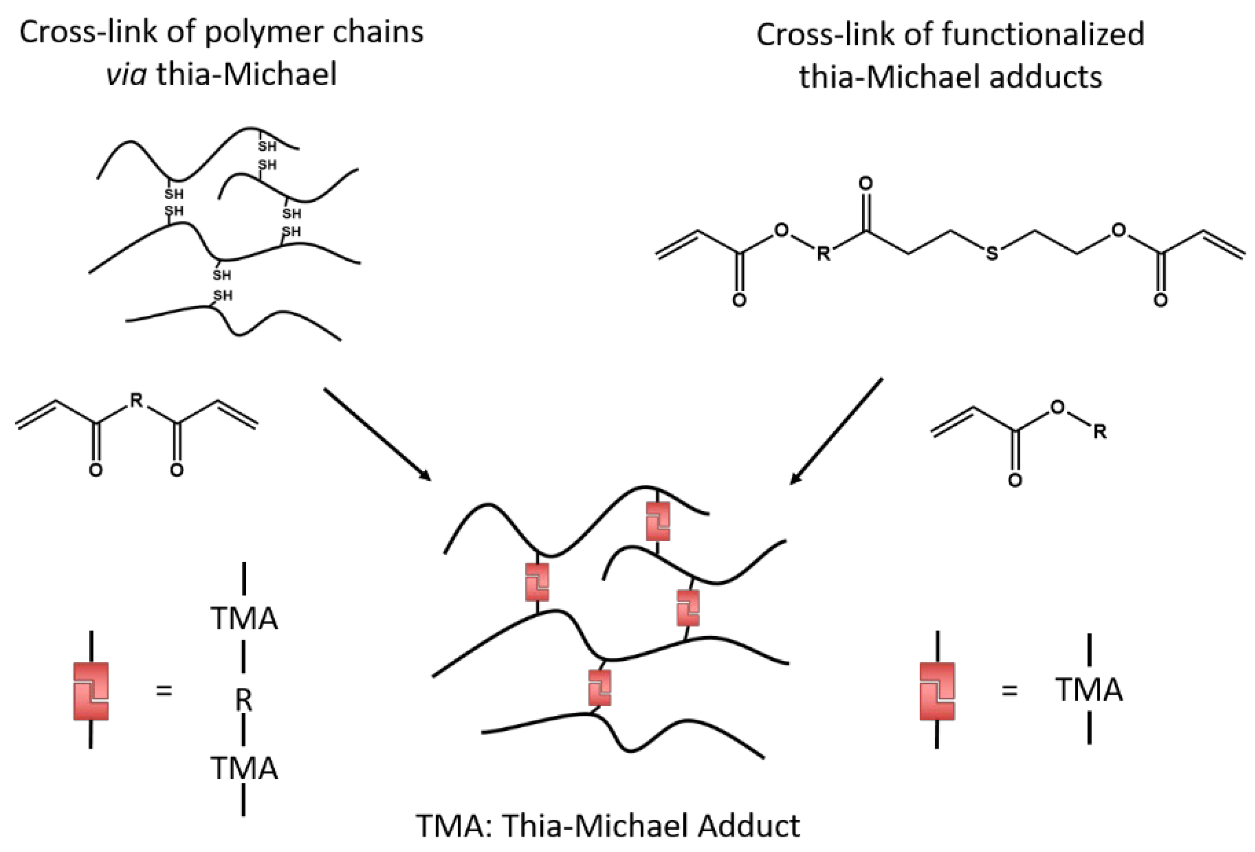 Polymers 14 04457 sch009 Polymers 14 04457 sch009