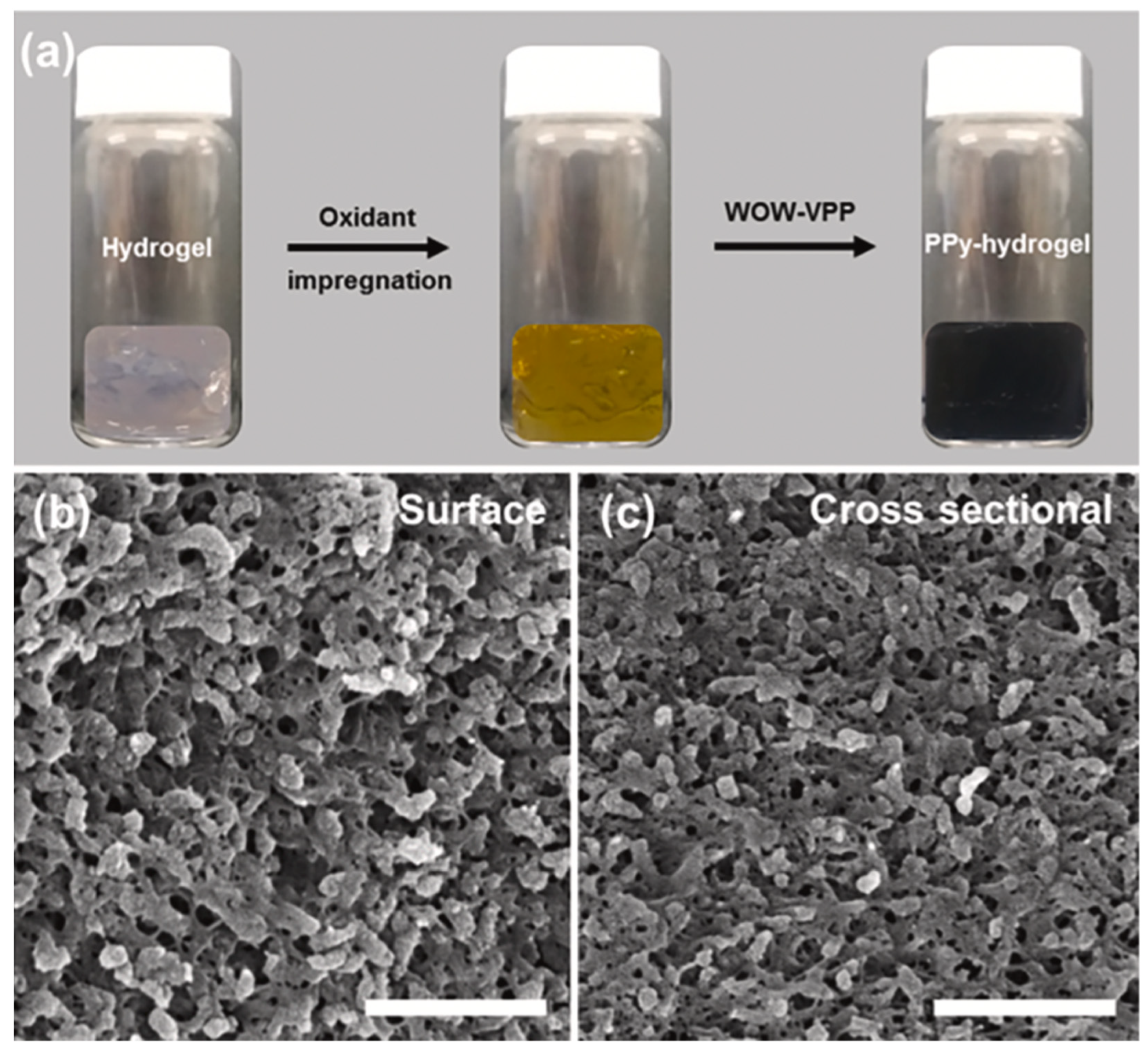 Polymers 14 04461 g008 Polymers 14 04461 g008