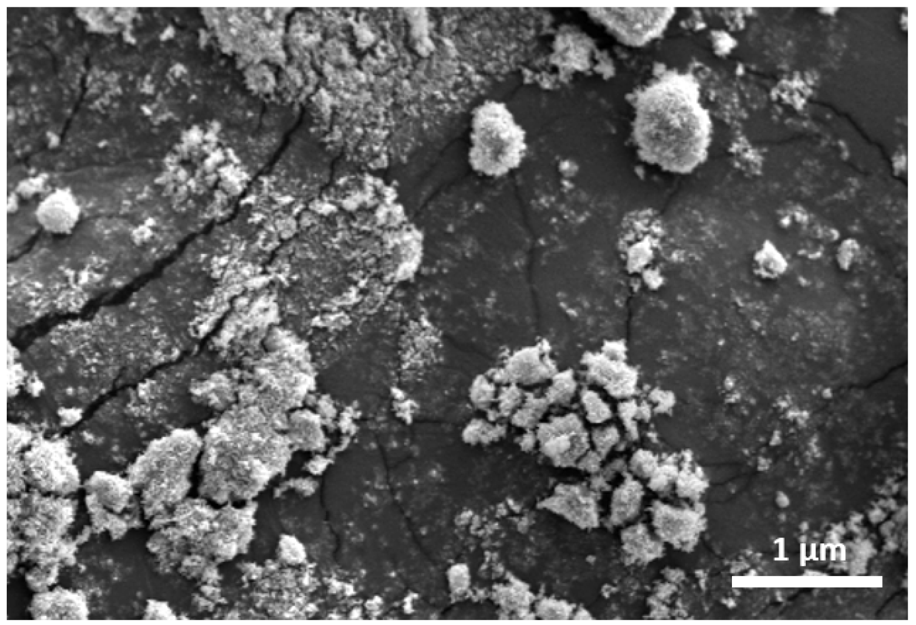 Polymers 14 04463 g001 Polymers 14 04463 g001