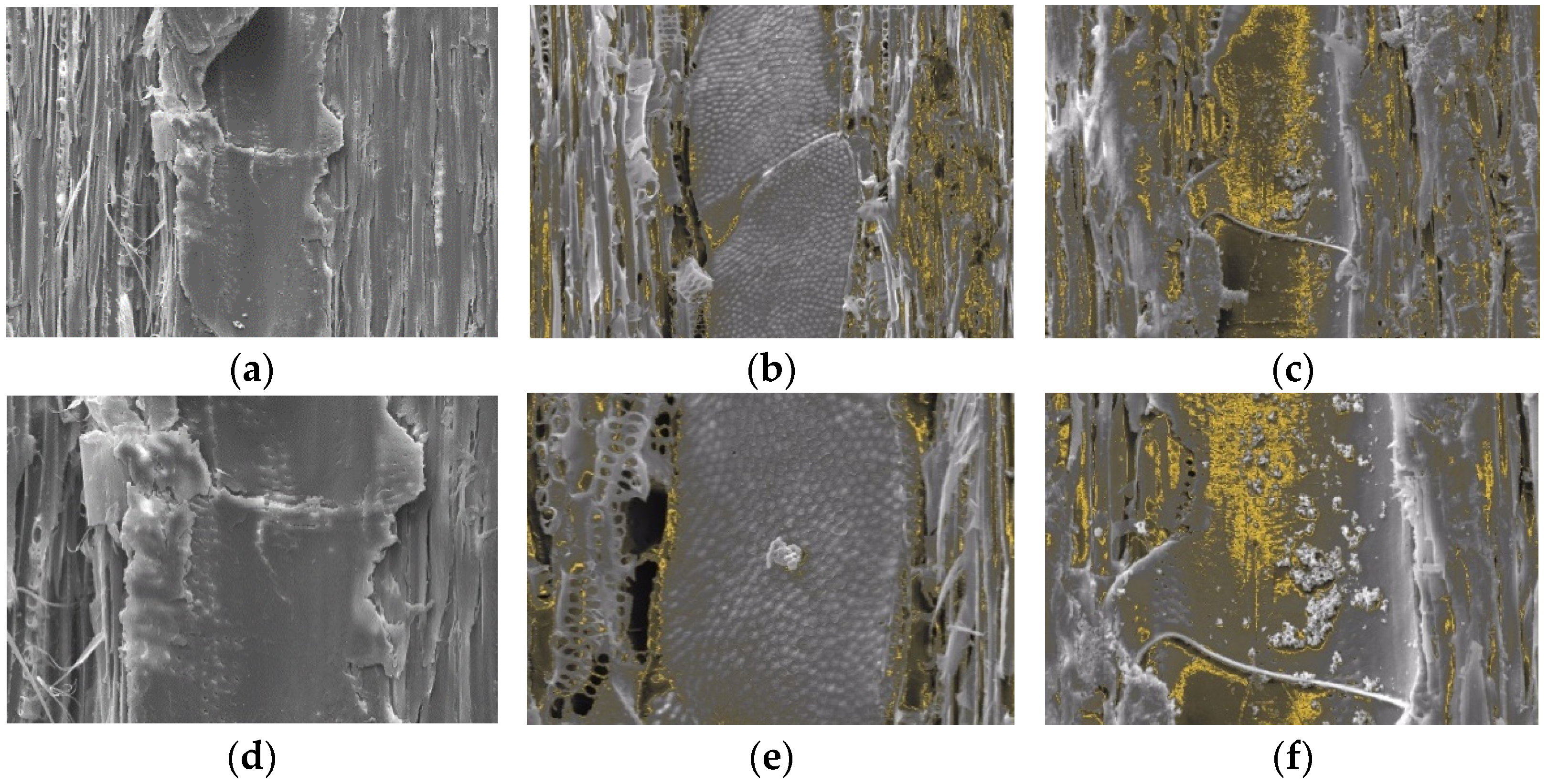 Polymers 14 04463 g007 Polymers 14 04463 g007