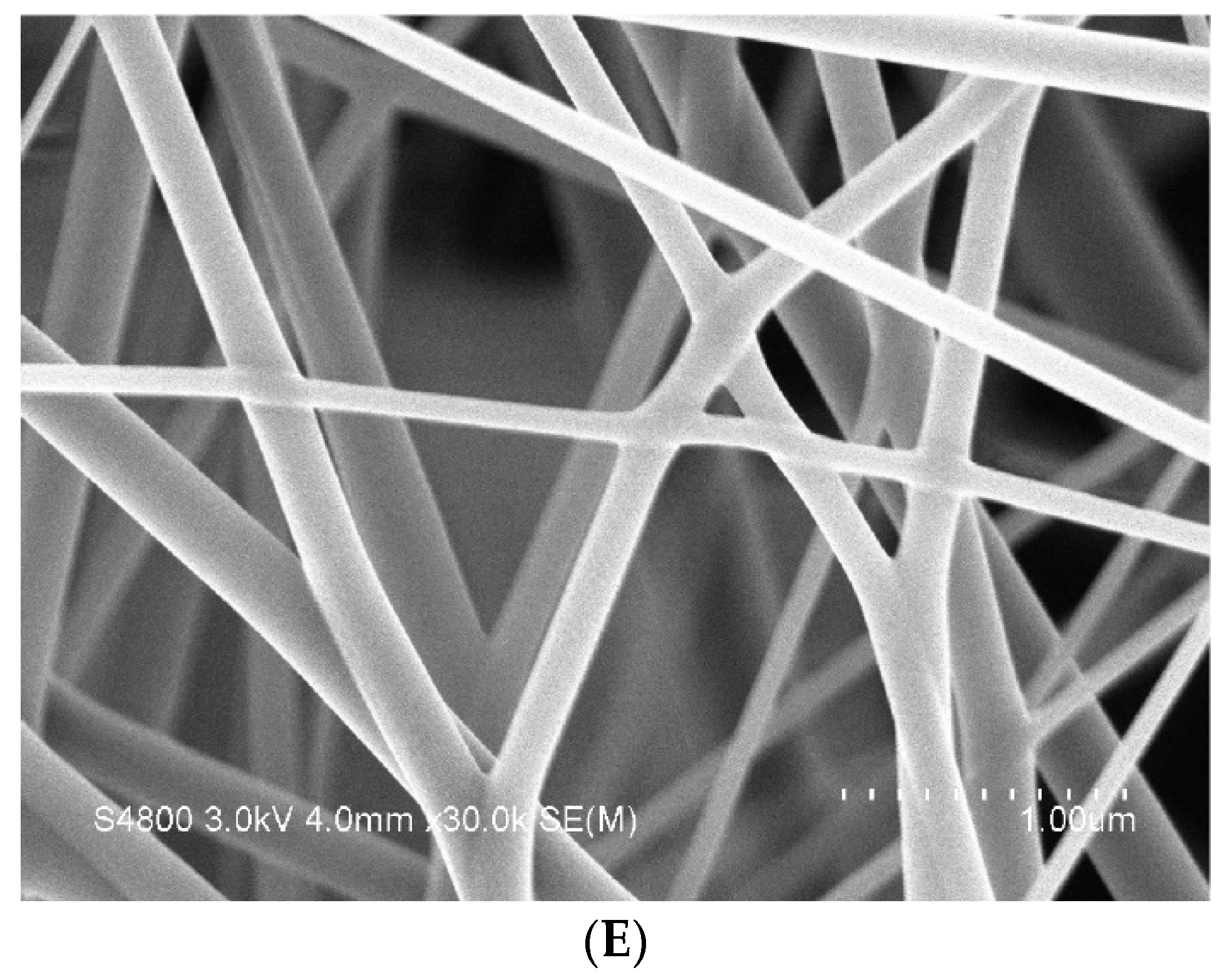Polymers 14 04470 g005b