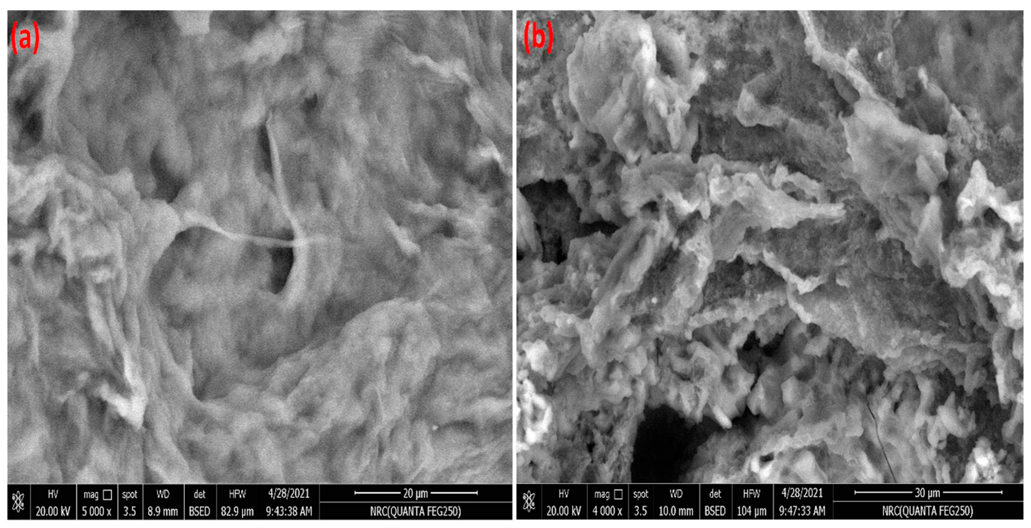 Polymers 14 04485 g002 Polymers 14 04485 g002