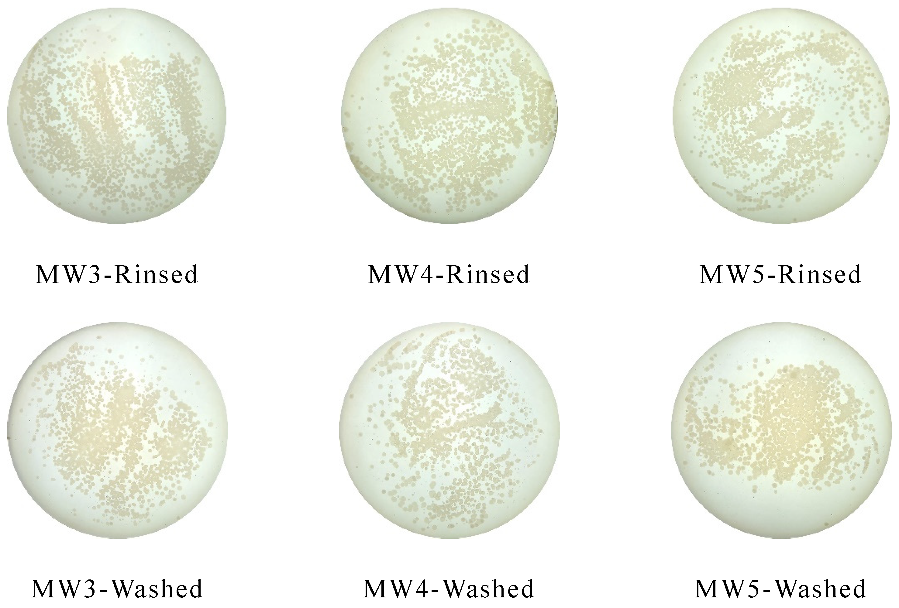 Polymers 14 04493 g008b Polymers 14 04493 g008b