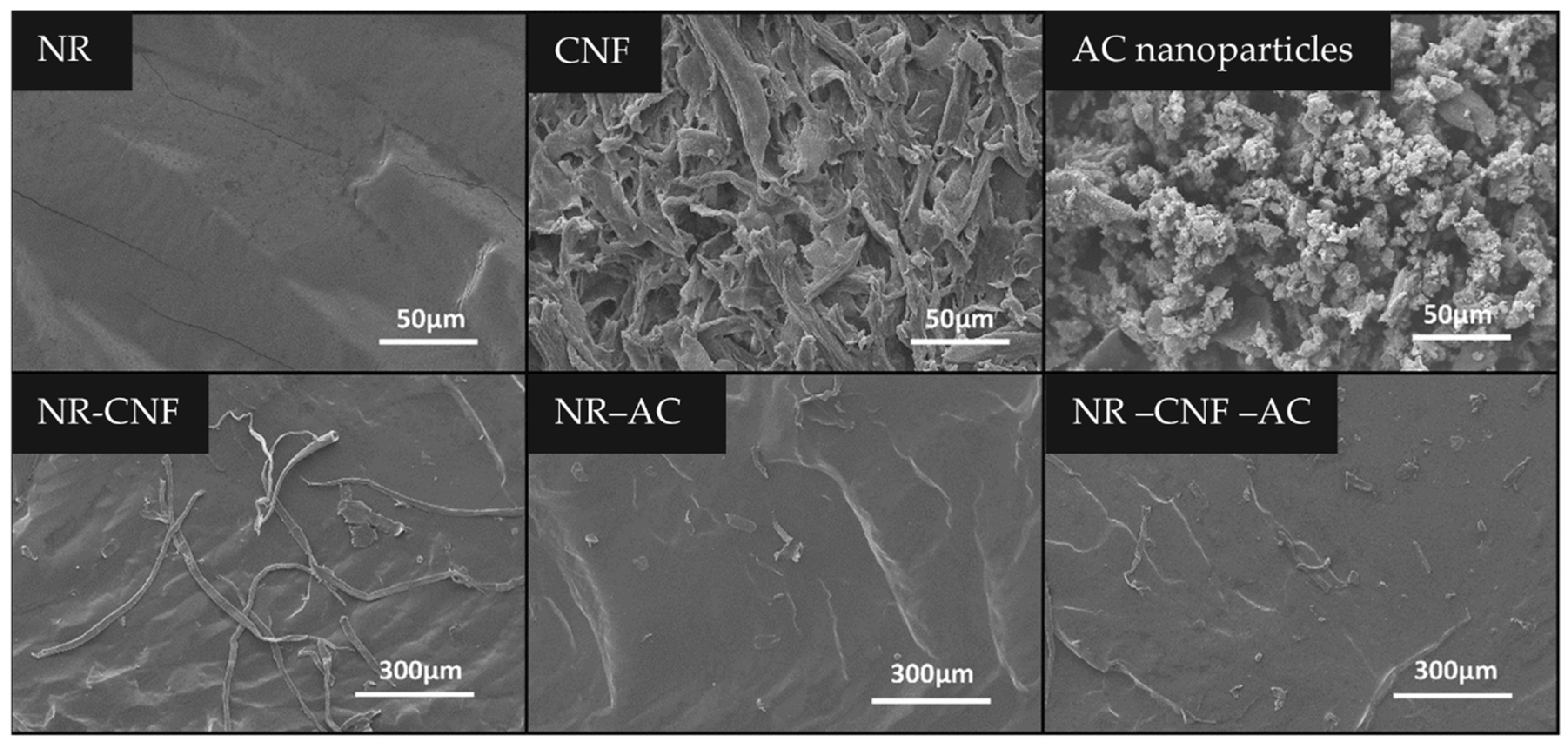 Polymers 14 04495 g002 Polymers 14 04495 g002