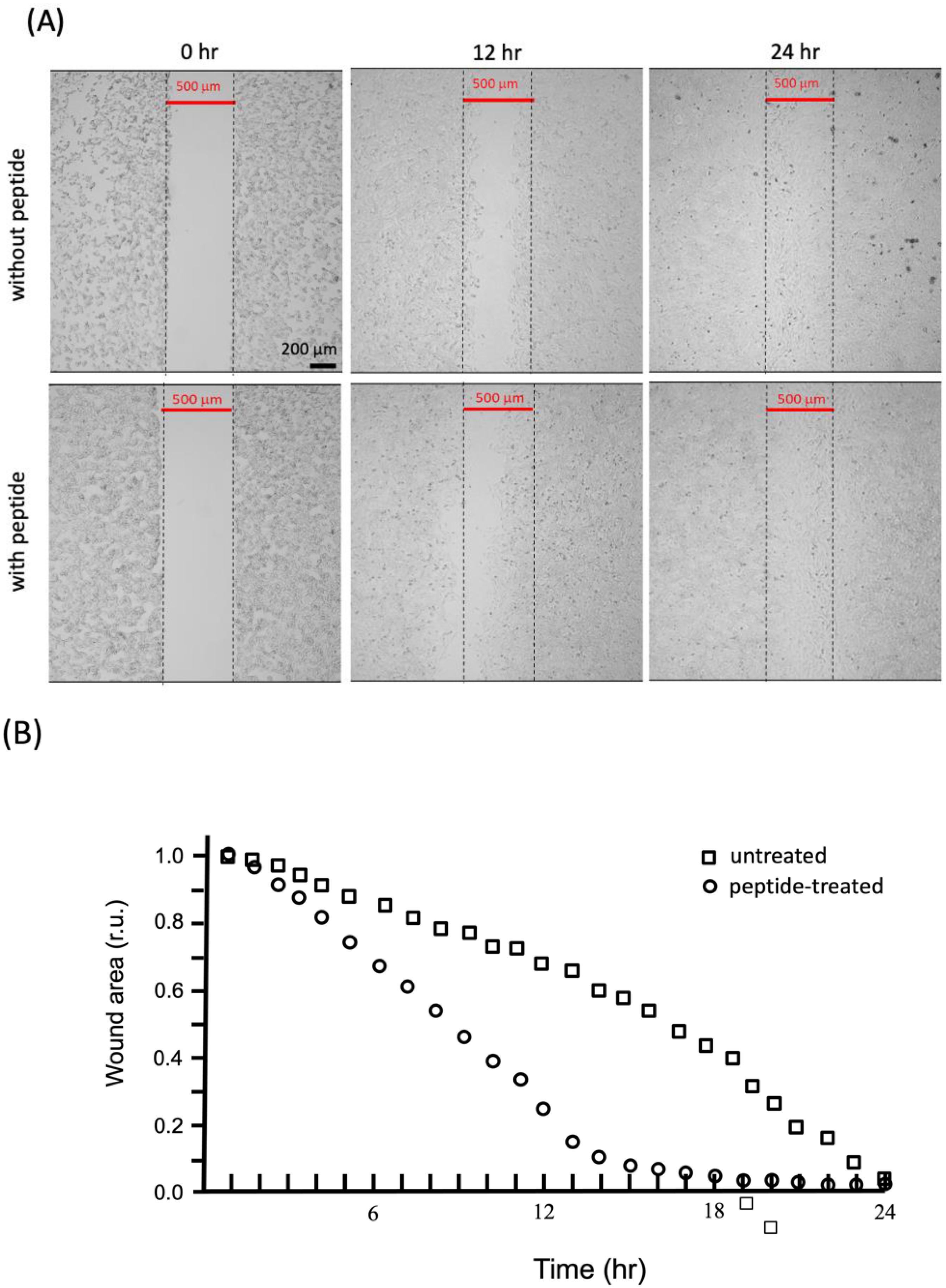 Polymers 14 04497 g0a1 Polymers 14 04497 g0a1