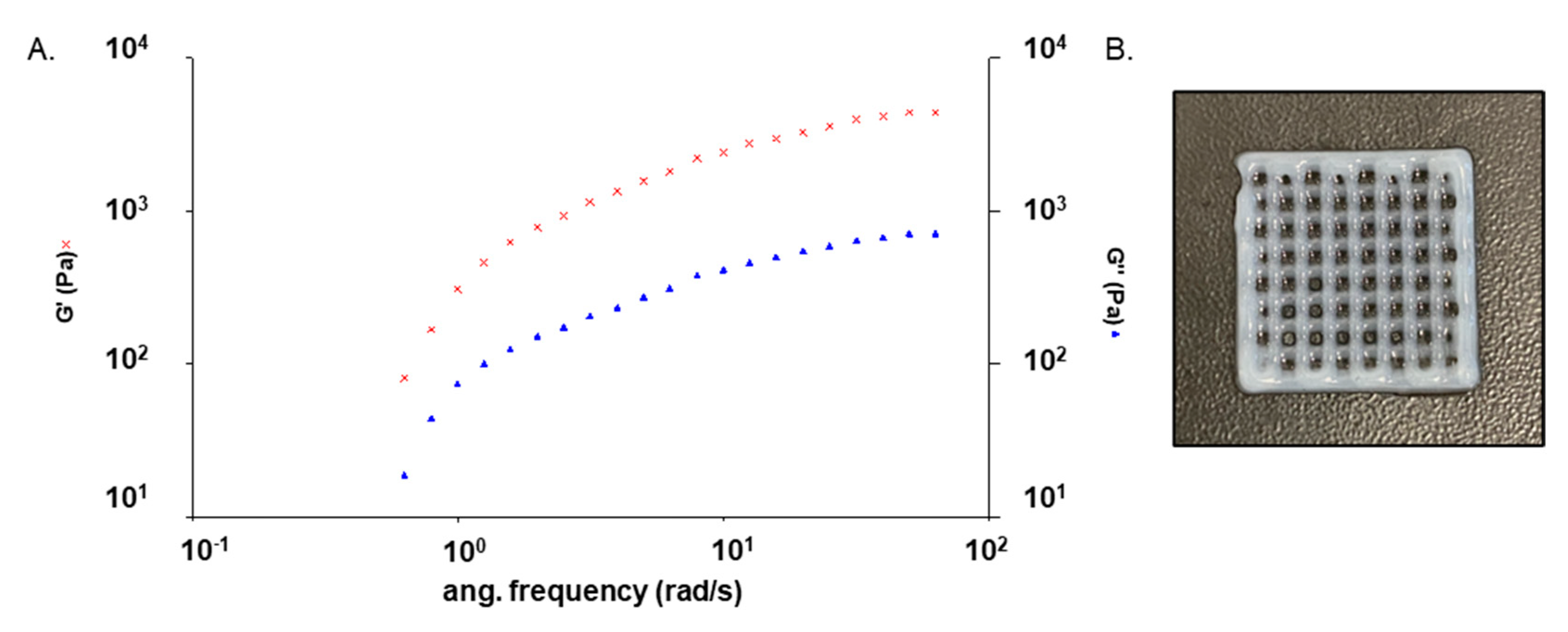 Polymers 14 04506 g002 Polymers 14 04506 g002
