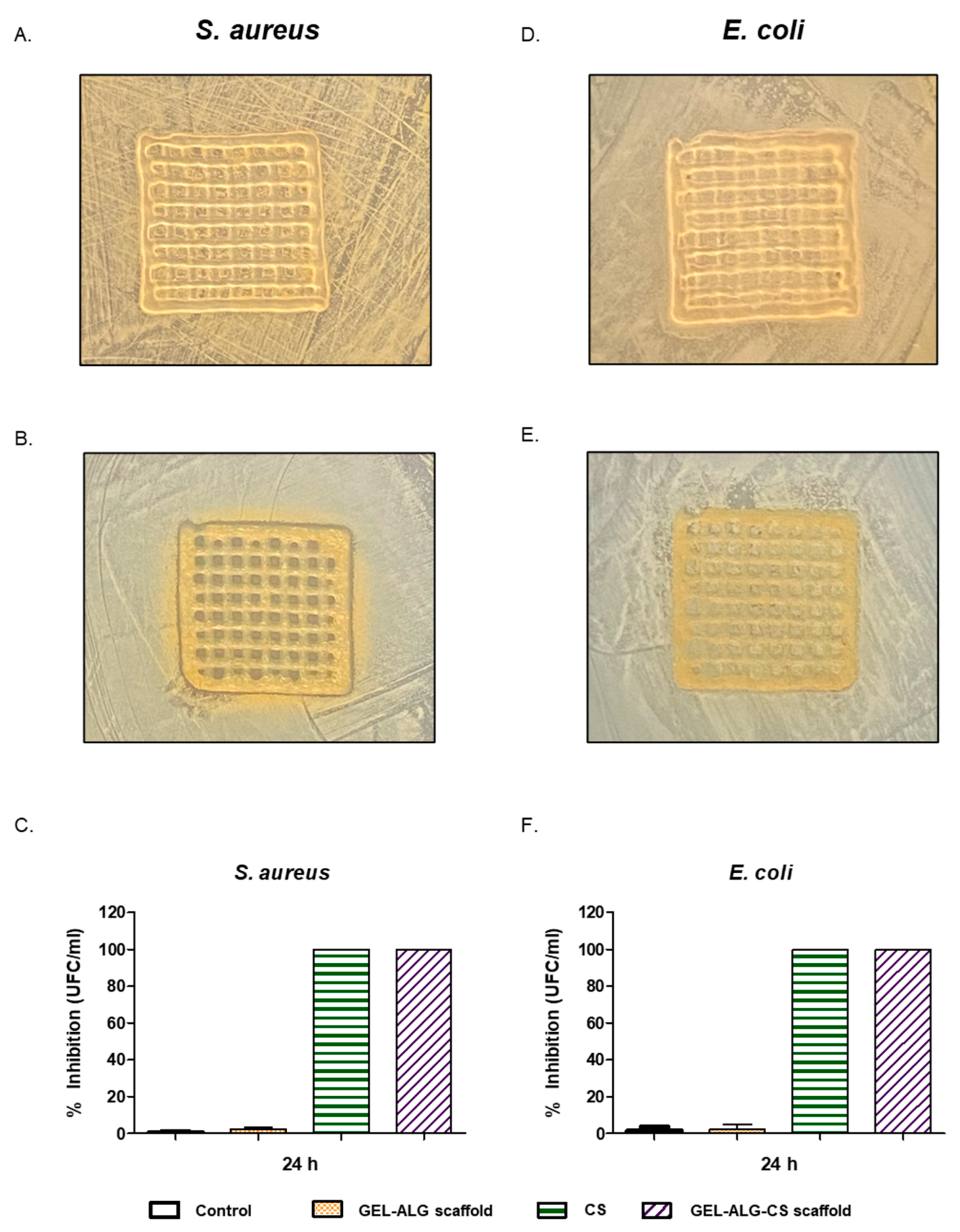Polymers 14 04506 g008 Polymers 14 04506 g008