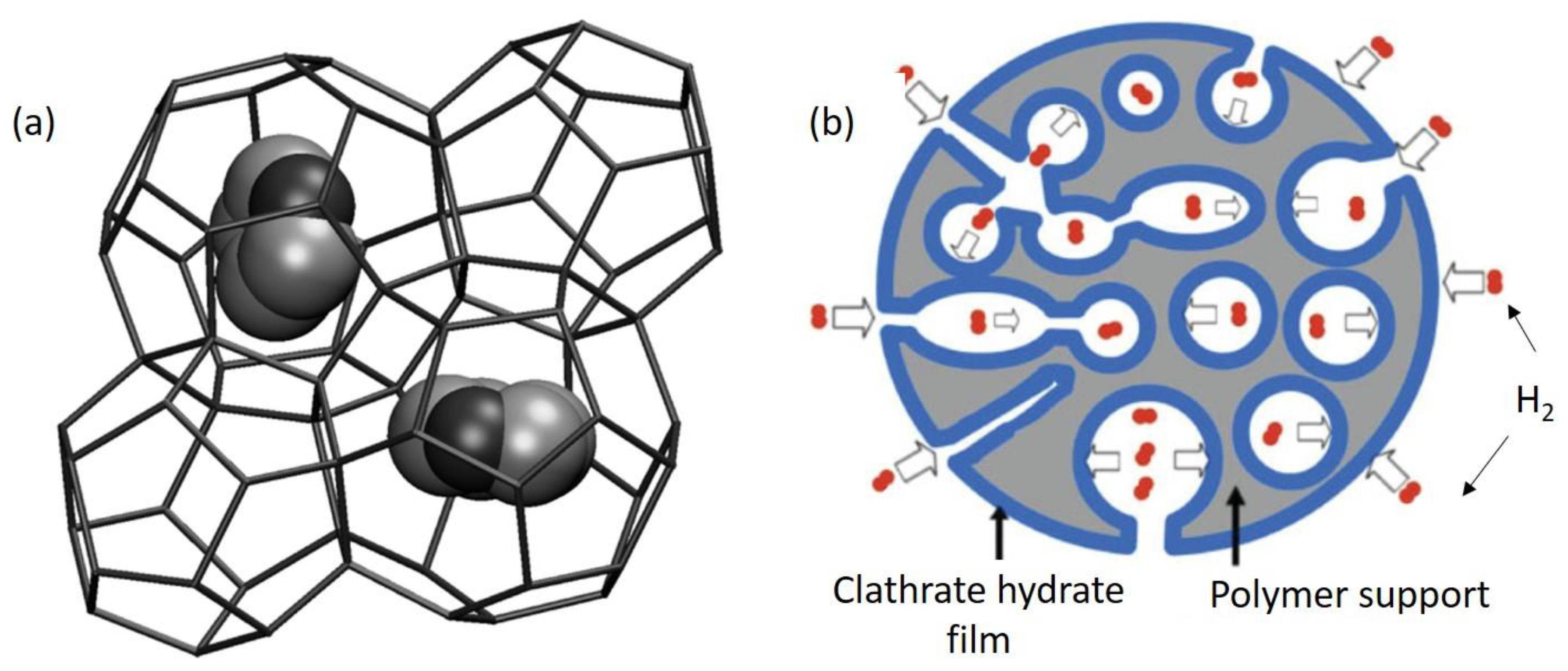 Polymers 14 04512 g005