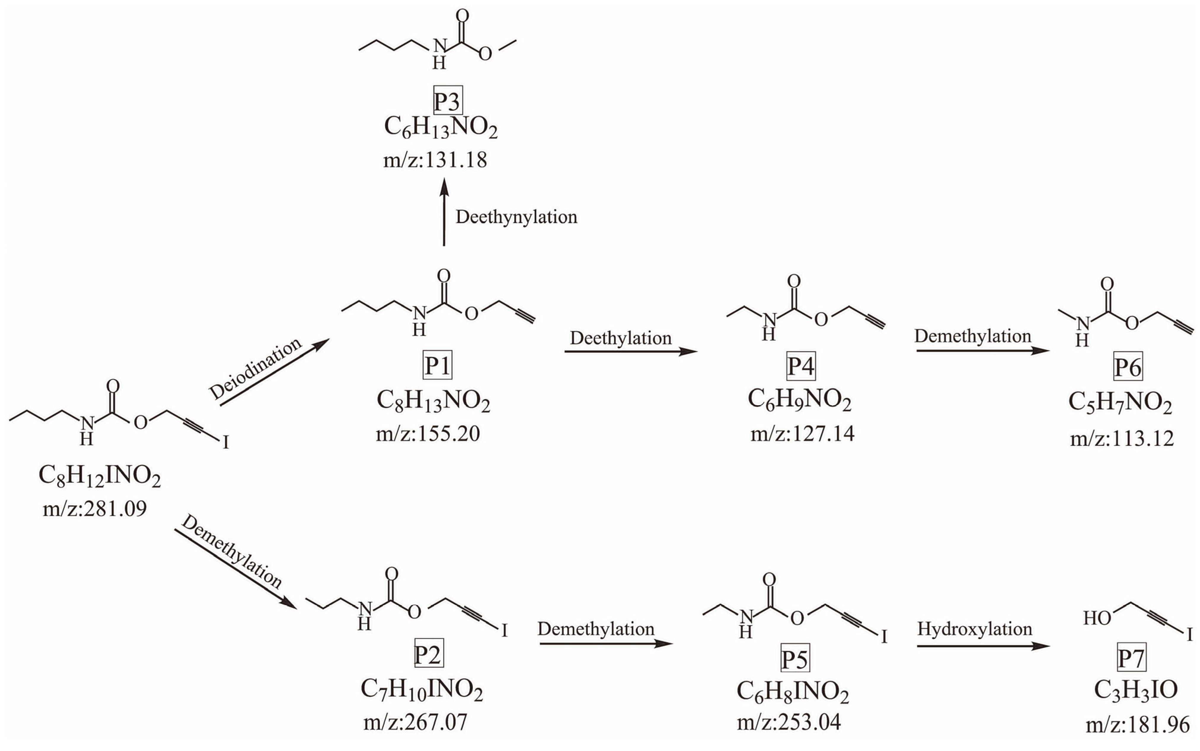 Polymers 14 04531 g010 Polymers 14 04531 g010