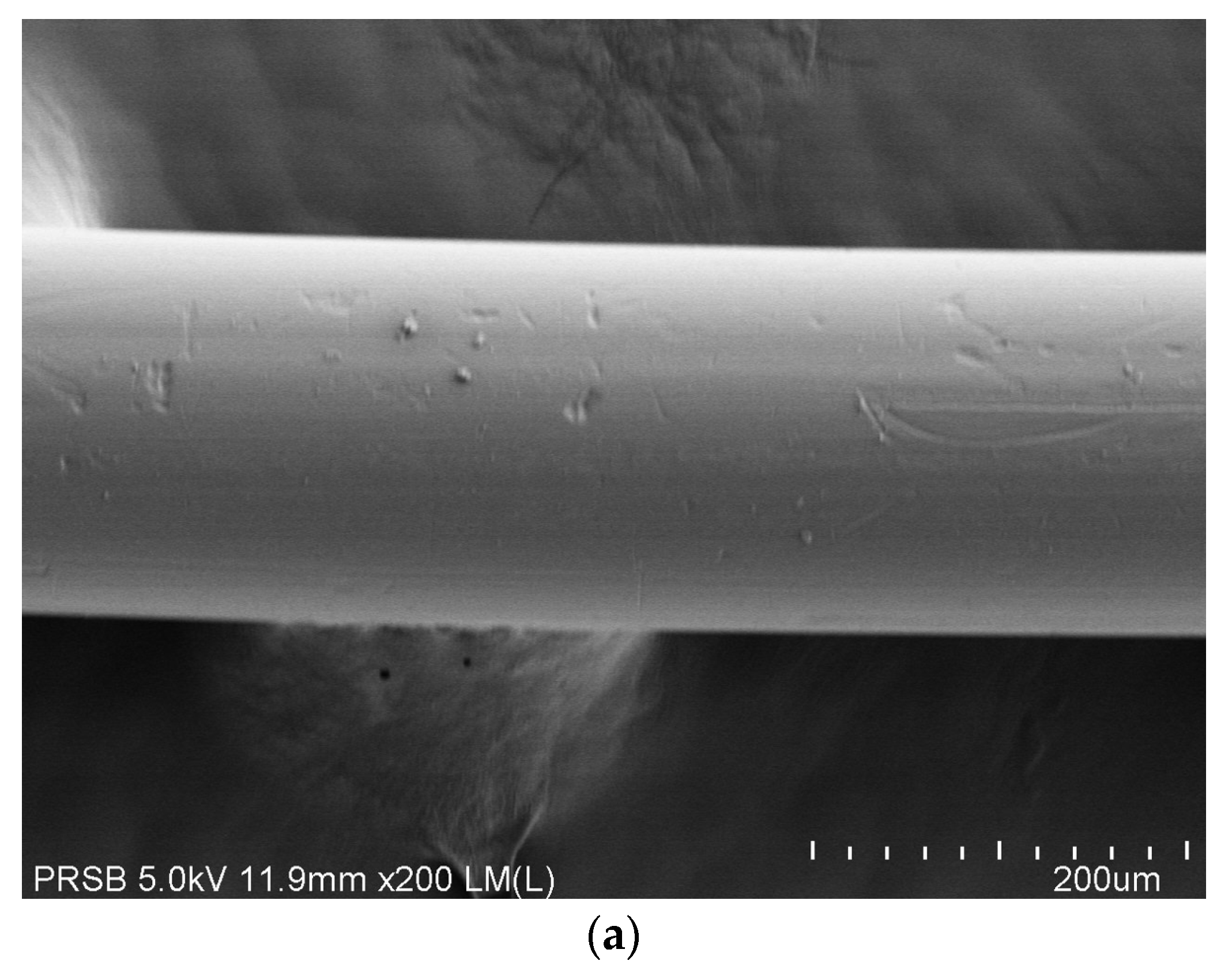 Polymers 14 04537 g002a Polymers 14 04537 g002a