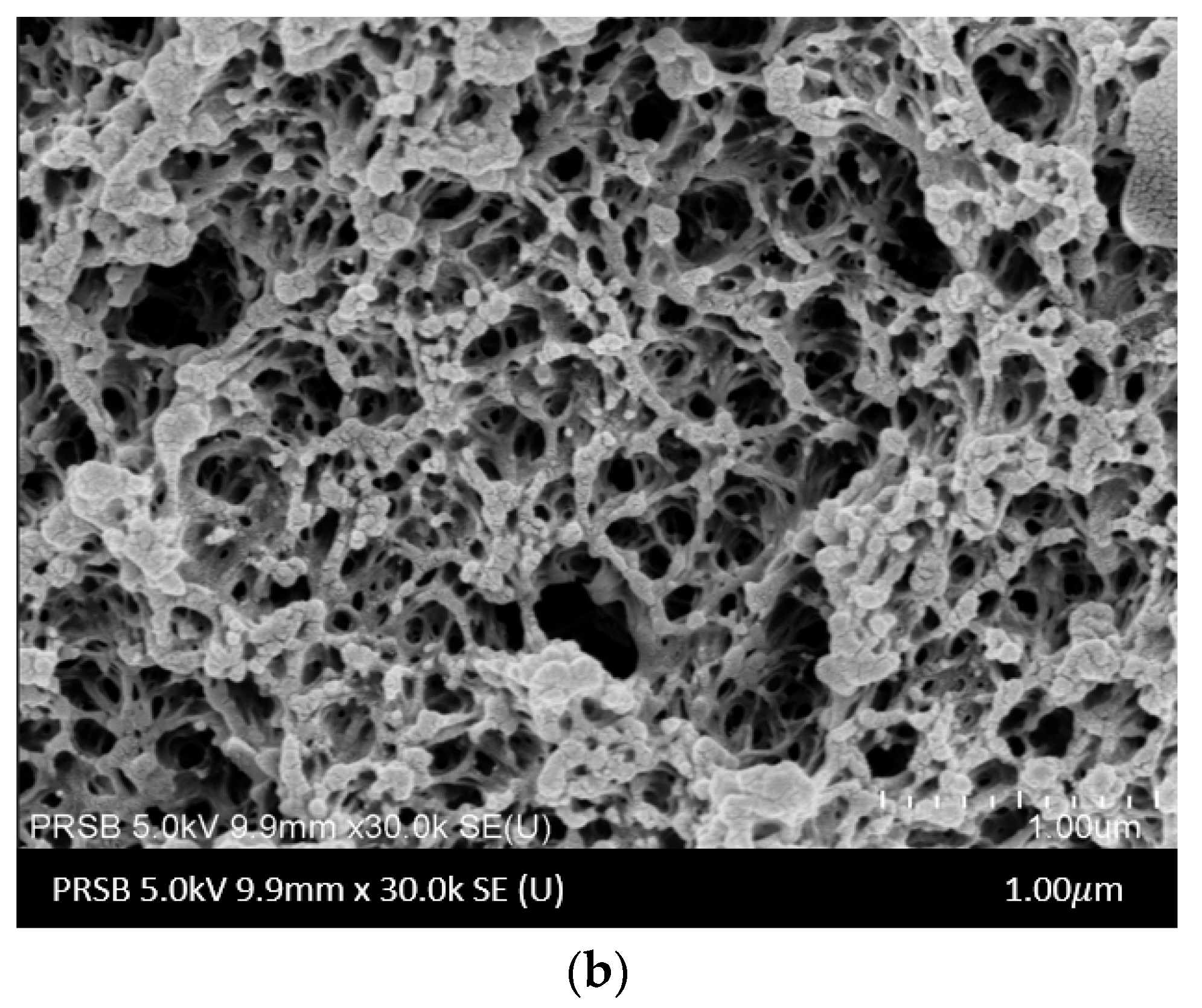 Polymers 14 04537 g002b Polymers 14 04537 g002b